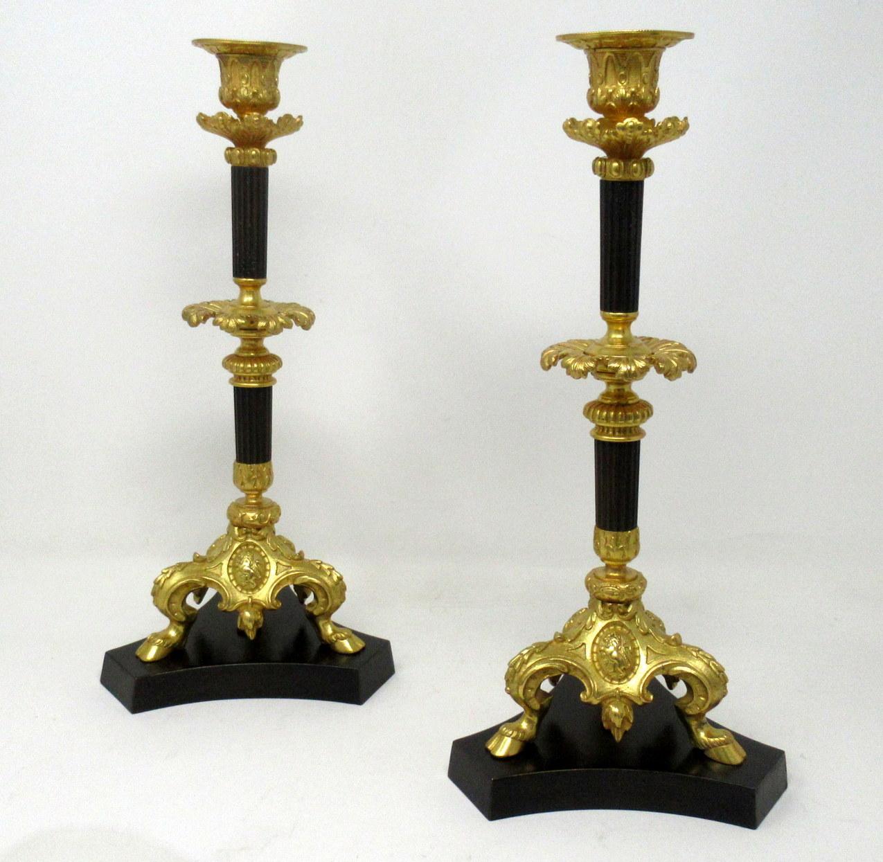 Stunning pair of French heavy gauge ormolu and patinated bronze single light candlesticks of outstanding quality and of generous tall proportions.

Each having a Campana-form candle socket with original firm fitting plain drip pan. The elegant