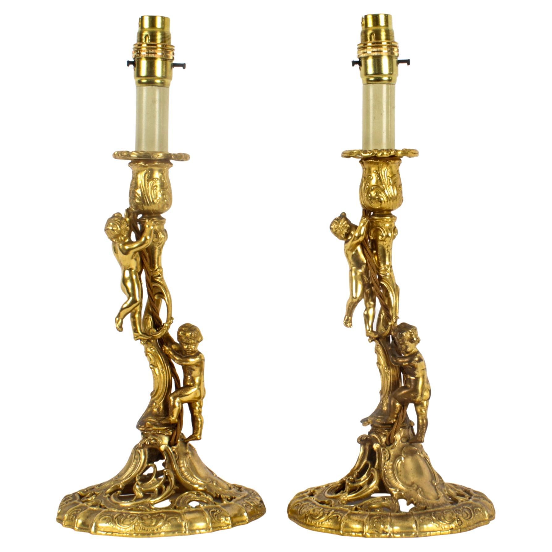 Antique Pair French Ormolu Rococo Cherub Table Lamps 19th Century
