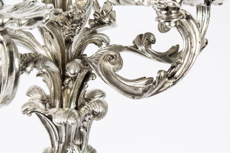 Antique Pair French Rococo Revival 7 Light Silver Plated Candelabra ...