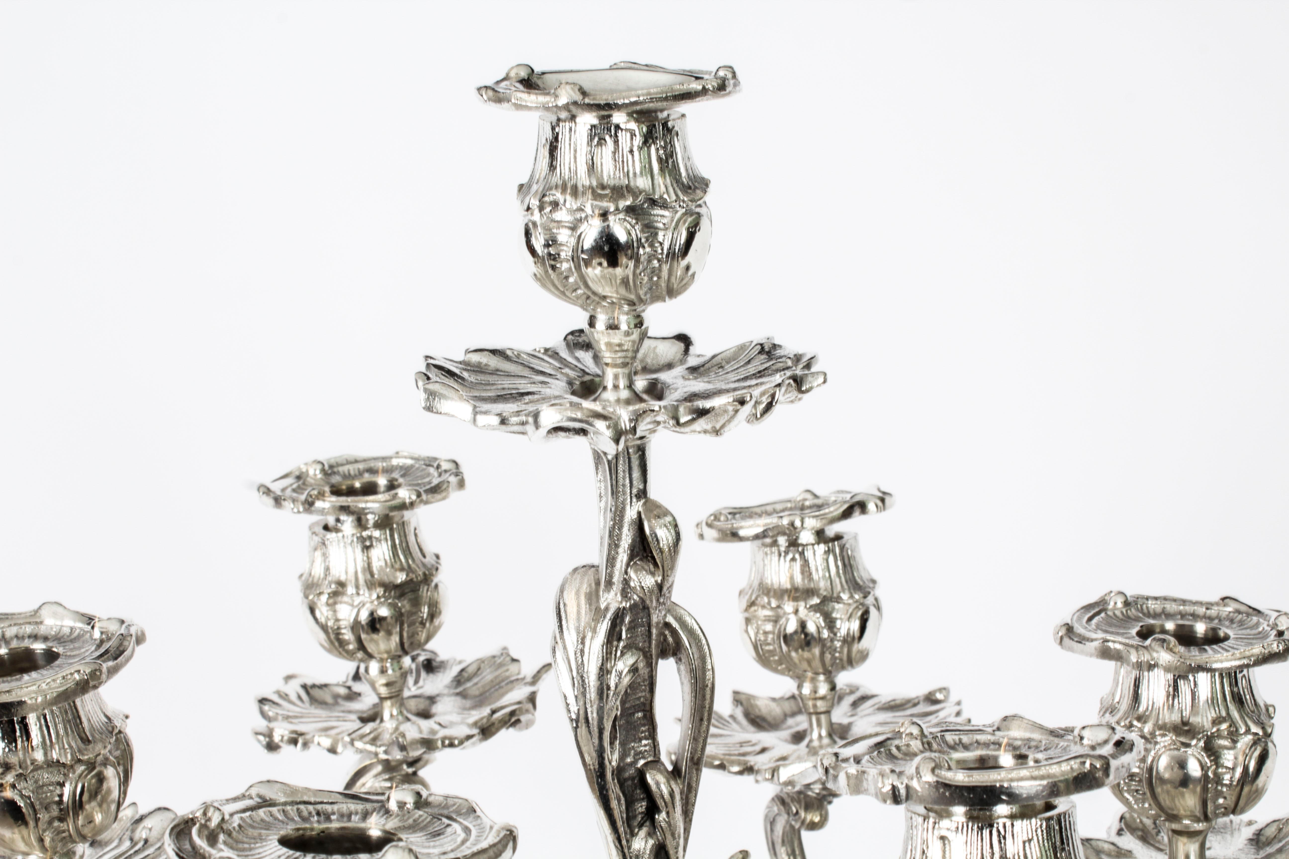 Antique Pair French Rococo Revival 7 Light Silver Plated Candelabra 1920s 9