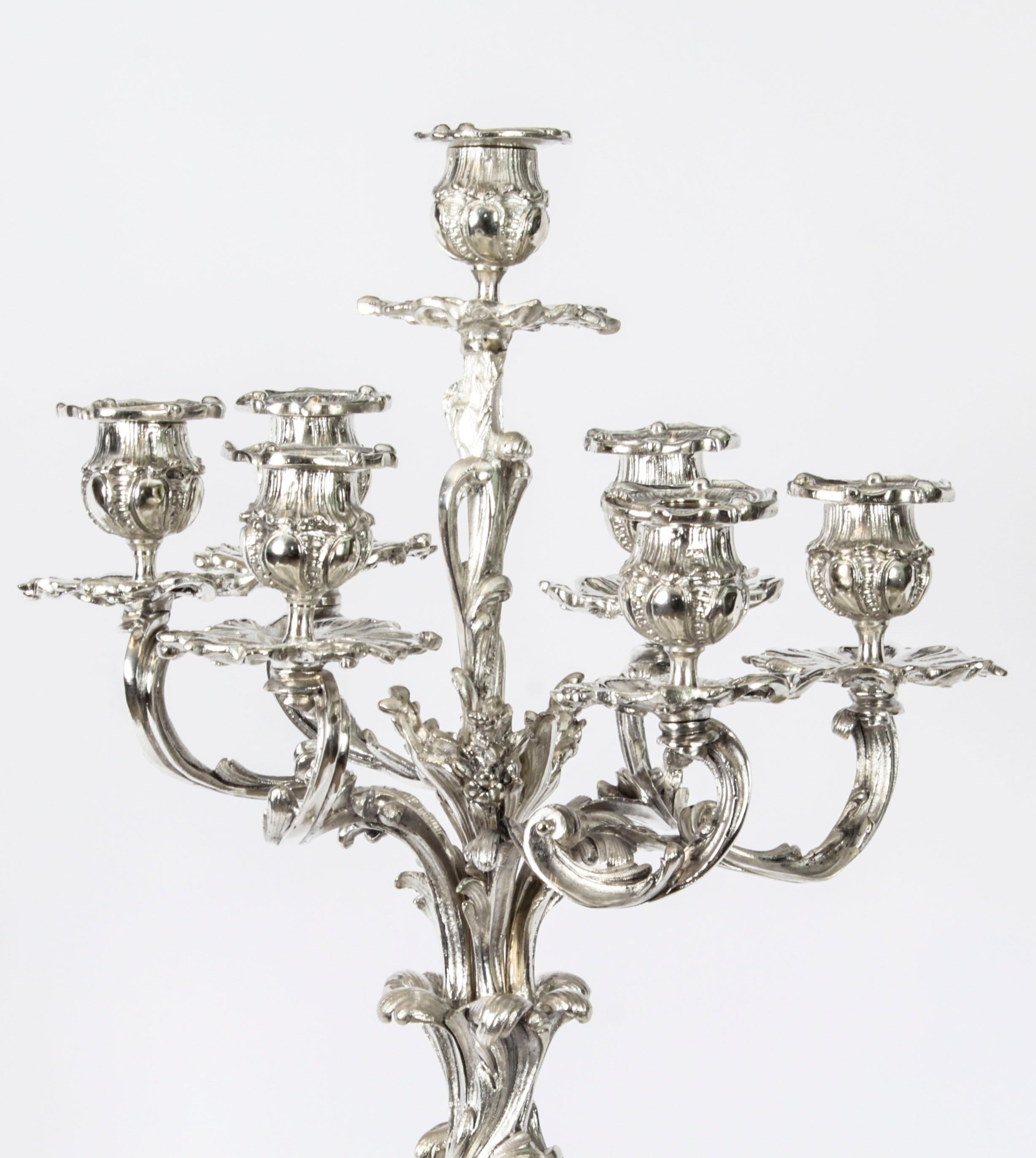 Antique Pair French Rococo Revival 7 Light Silver Plated Candelabra 1920s 13