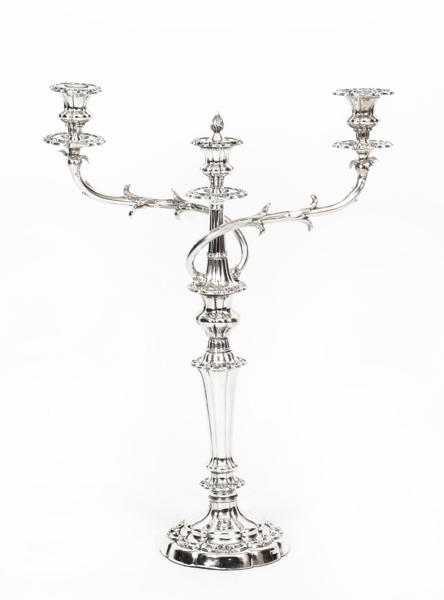 This is an important elegant large pair of antique English George III Old Sheffield silver plate, three light, two-branch table candelabra from the Rothschild Collection, circa 1820 in date.
 
The candelabra feature tapering lobed circular columns
