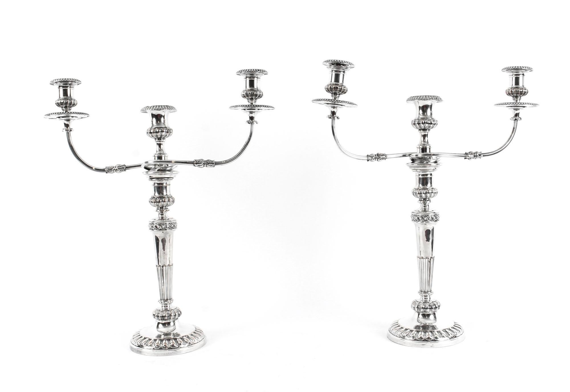 Antique Pair of George IV 3 Light Old Sheffield Candelabra, 19th Century 9