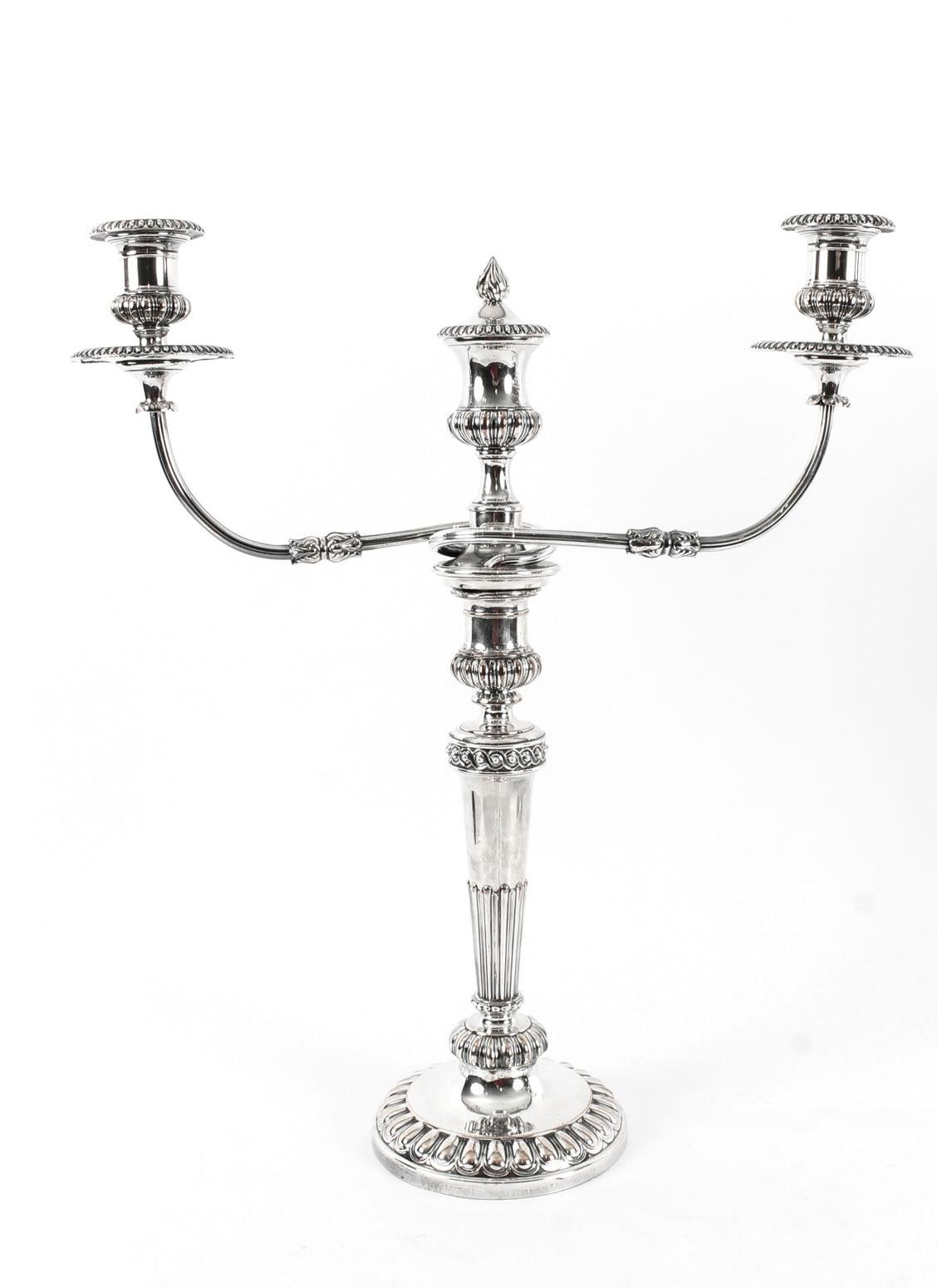 This is a stunning pair of antique English George IV Old Sheffield silver plate, three light, two-branch table candelabra, circa 1830 in date, and in the manner of the renowned silversmith Matthew Boulton.
 
The candelabra feature detachable