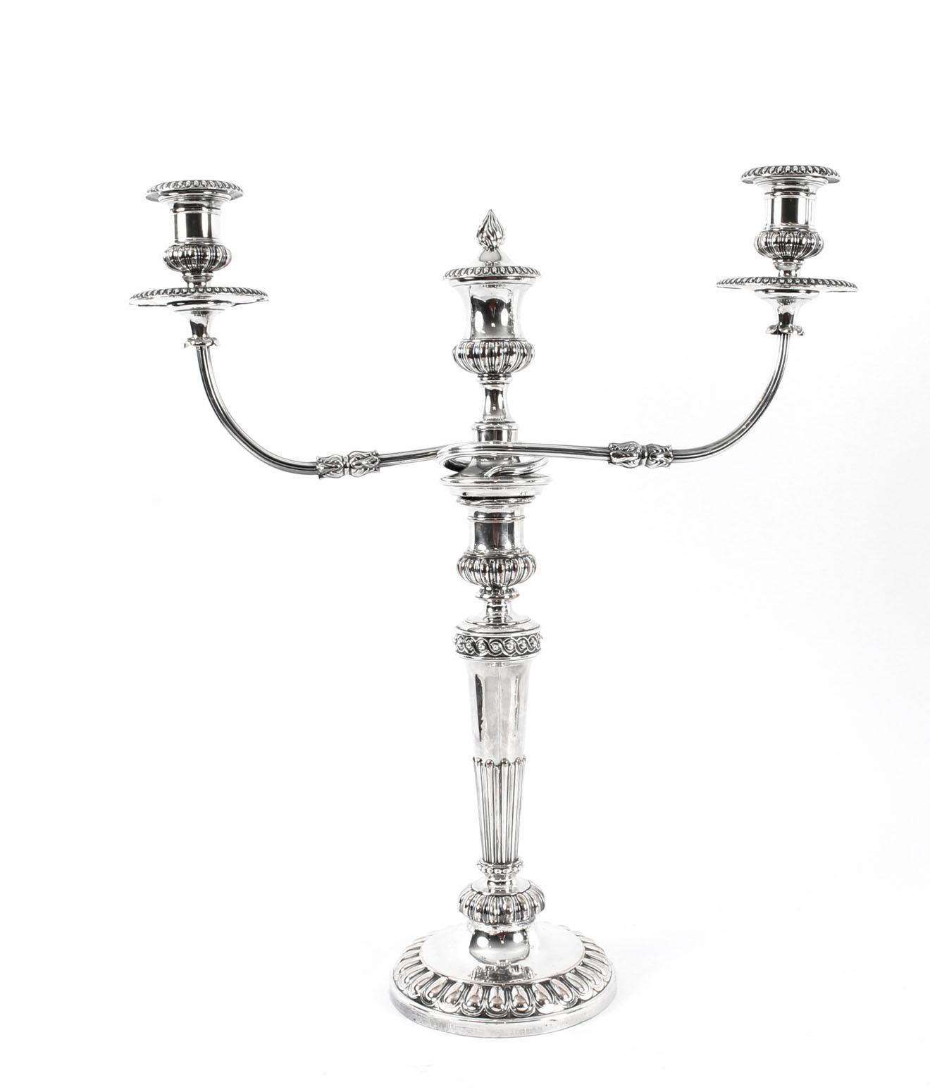 English Antique Pair of George IV 3 Light Old Sheffield Candelabra, 19th Century