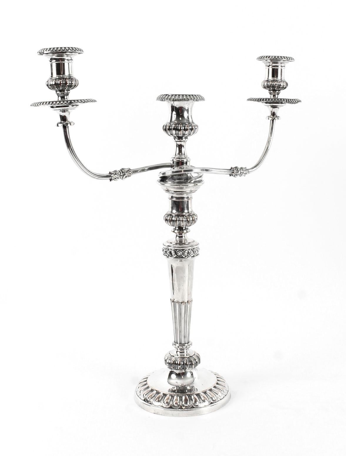 Antique Pair of George IV 3 Light Old Sheffield Candelabra, 19th Century In Good Condition In London, GB