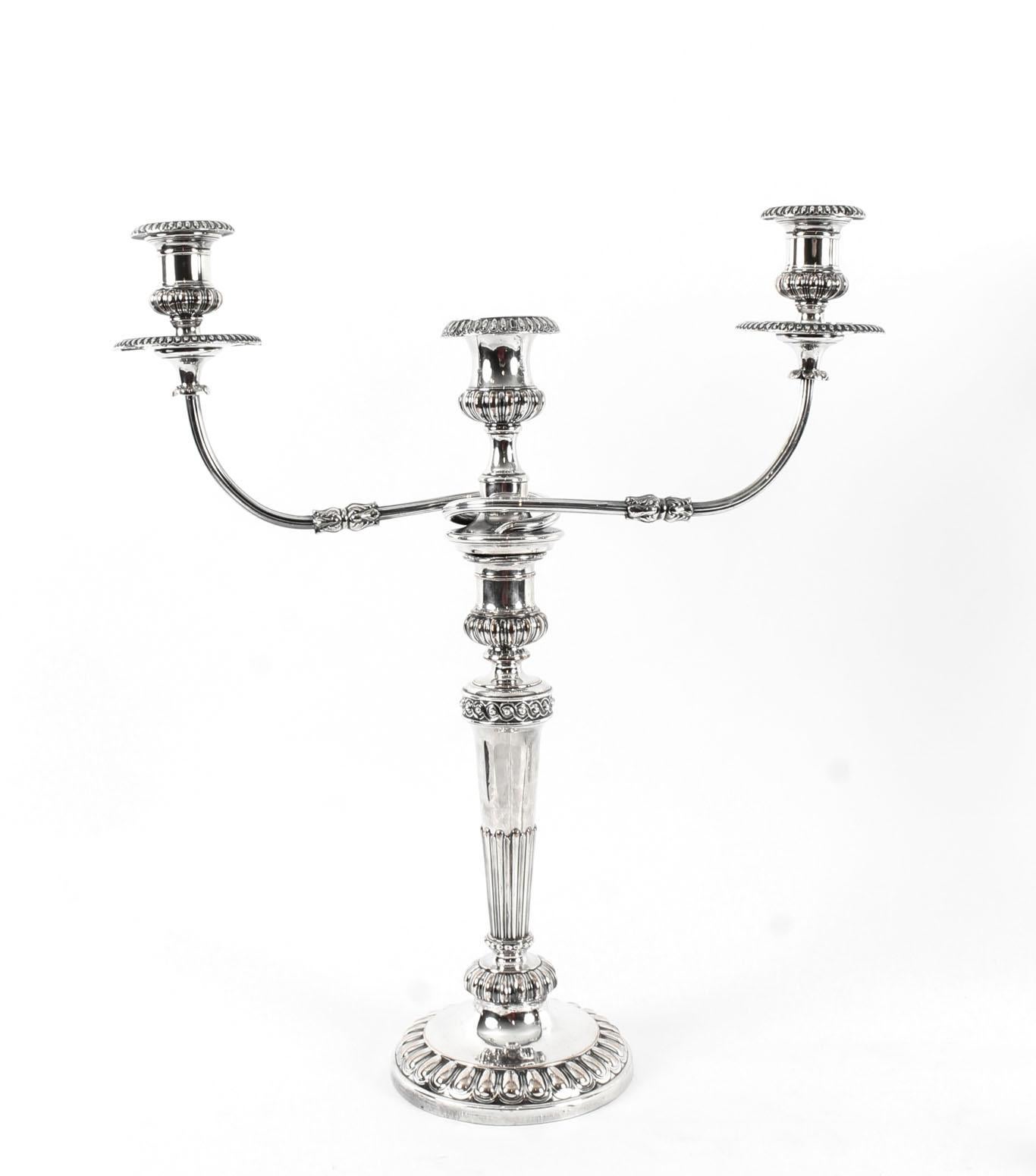 Mid-19th Century Antique Pair of George IV 3 Light Old Sheffield Candelabra, 19th Century