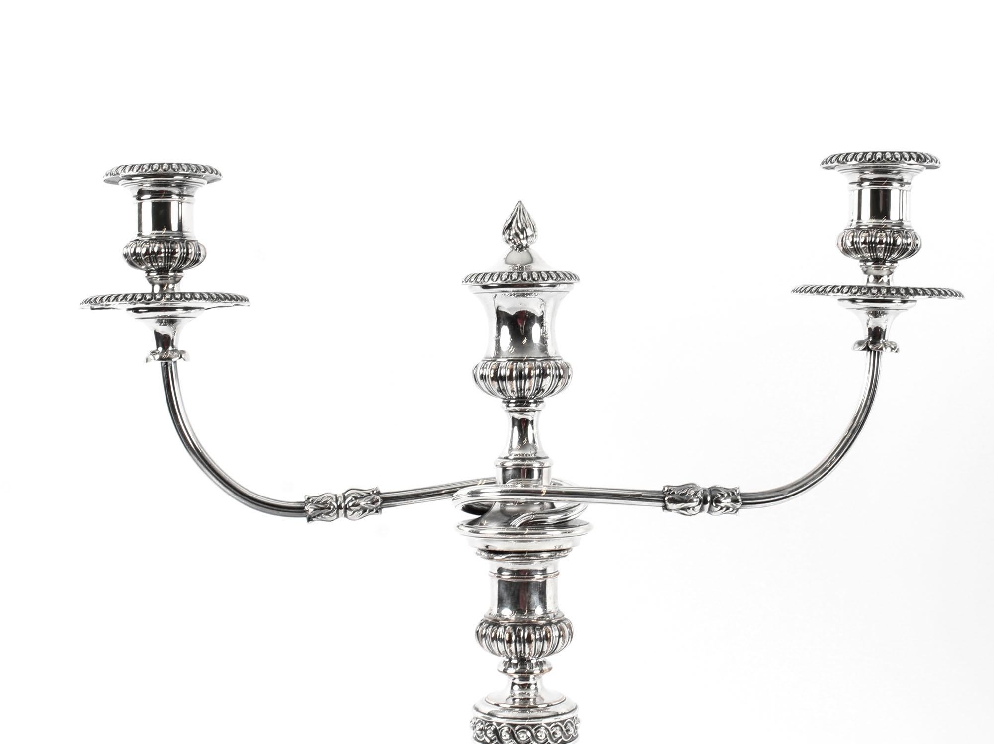 Antique Pair of George IV 3 Light Old Sheffield Candelabra, 19th Century 2