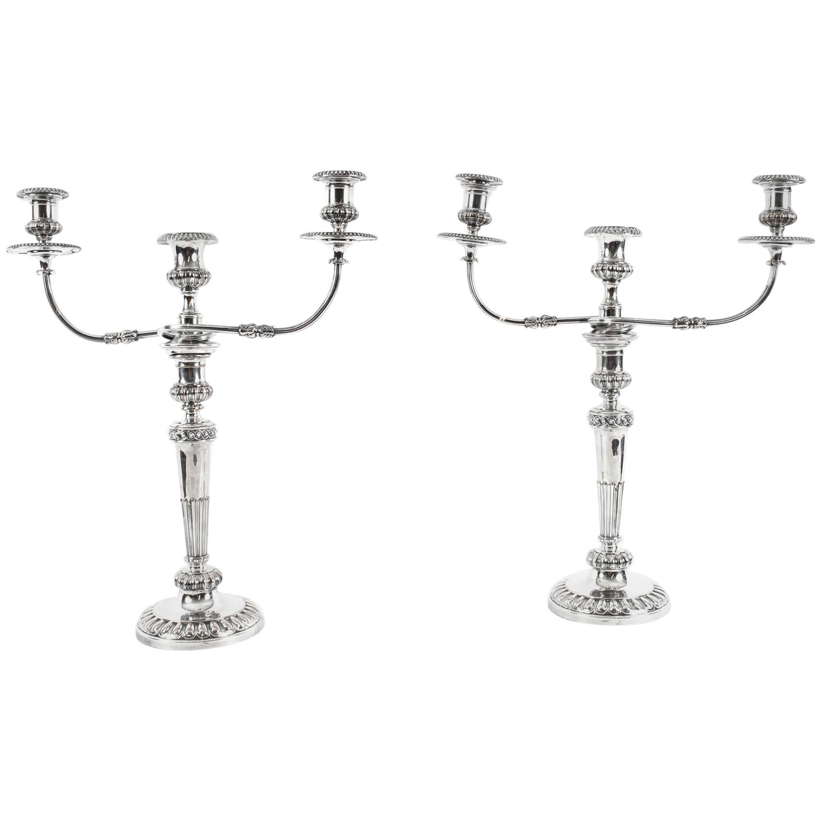 Antique Pair of George IV 3 Light Old Sheffield Candelabra, 19th Century