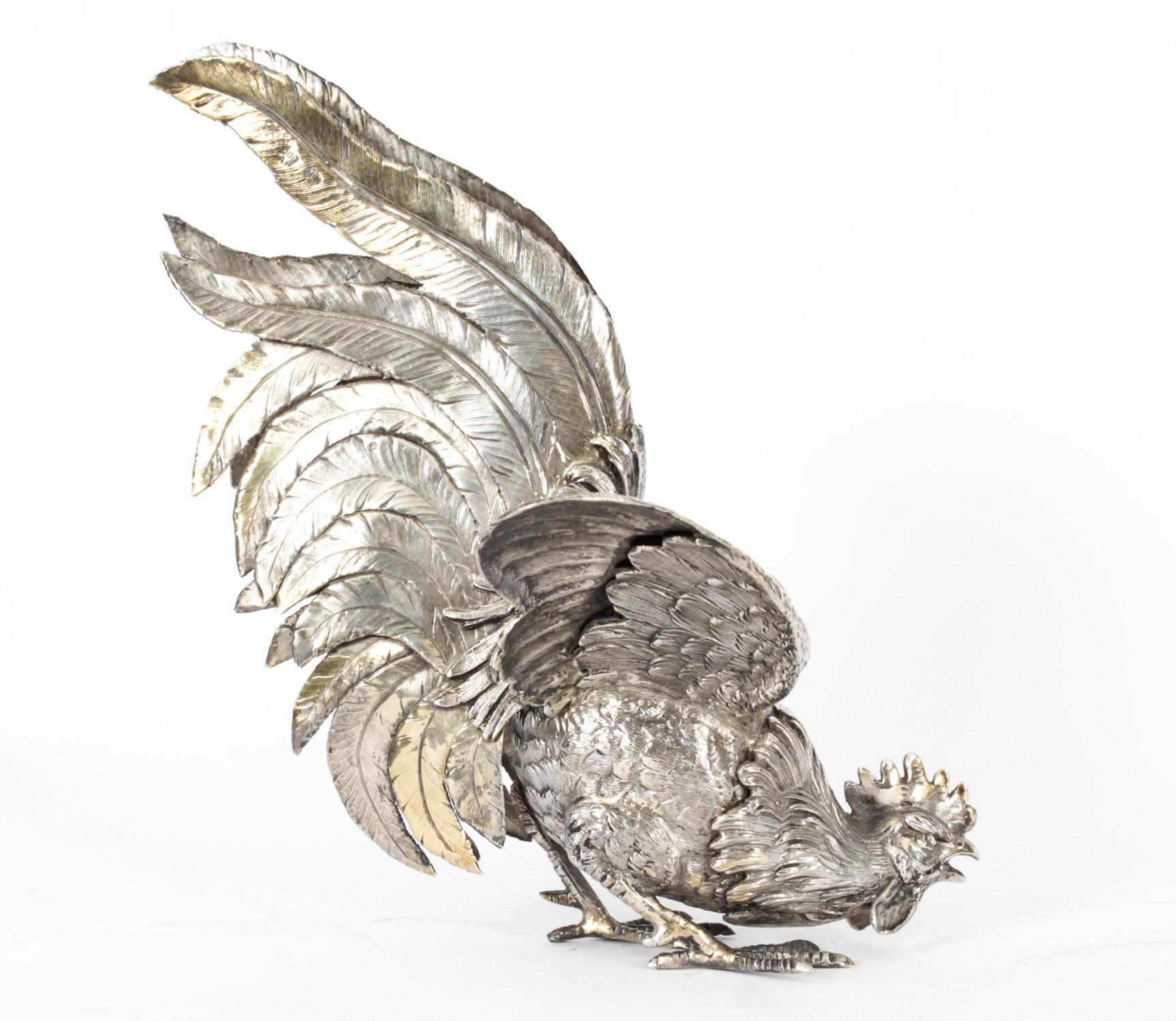 This is a large very attractive antique pair of German silver plated fighting cockerels, Circa 1880 in date and bearing the German 800 silver marks on the wings.
 
These beautifully sculpted and hand-chased fine textured cocks are in realistic