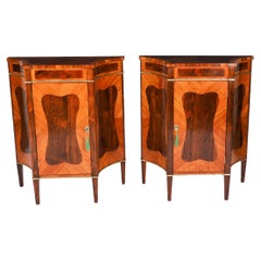 Pareja de armarios auxiliares antiguos Goncalo Alves y King-Wood Siglo XIX