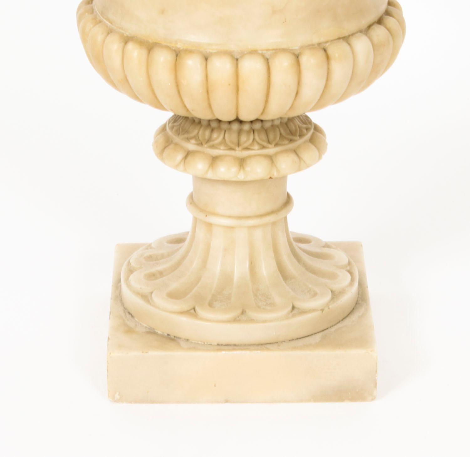 Antique Pair Grand Tour Alabaster Campana Urns 19th Century 5