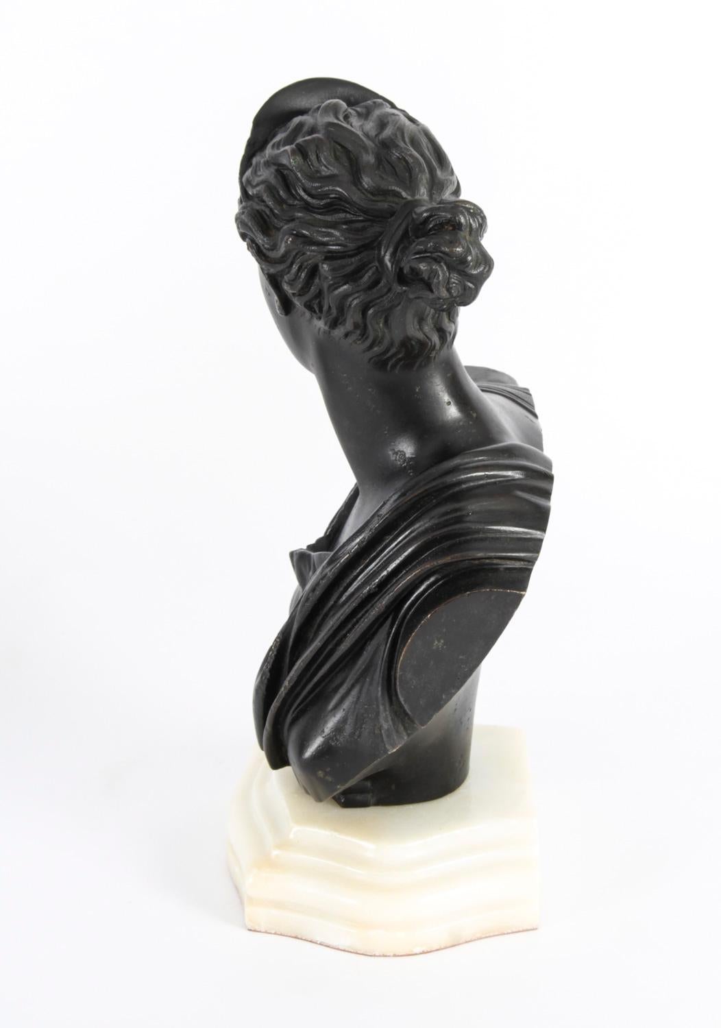 Antique Pair Italian Grand Tour Bronze Busts Apollo & Diana, 19th C 6