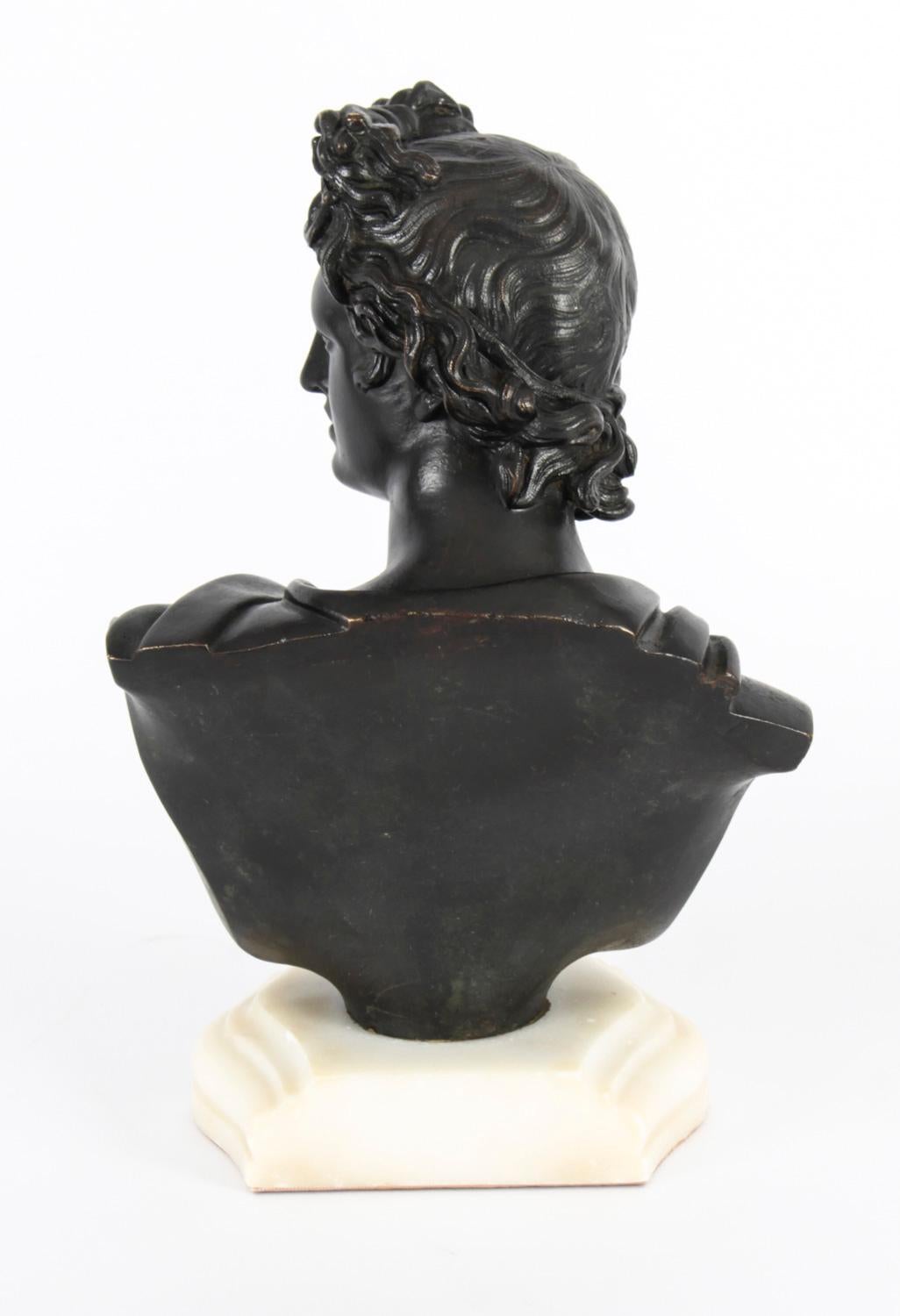 Antique Pair Italian Grand Tour Bronze Busts Apollo & Diana, 19th C 11