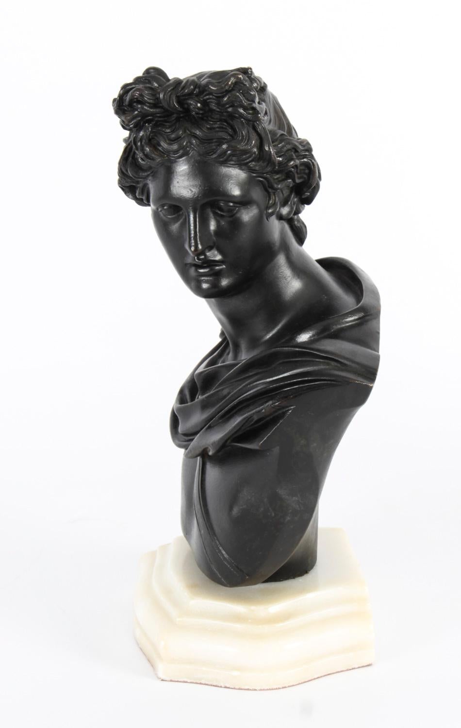 Antique Pair Italian Grand Tour Bronze Busts Apollo & Diana, 19th C 13