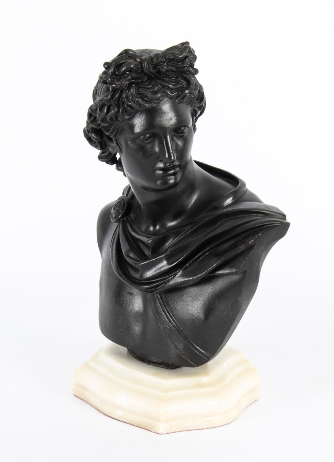 Antique Pair Italian Grand Tour Bronze Busts Apollo & Diana, 19th C 15