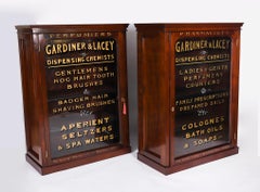 Antique Pair Mahogany Pharmacy Display Cabinets 19th Century