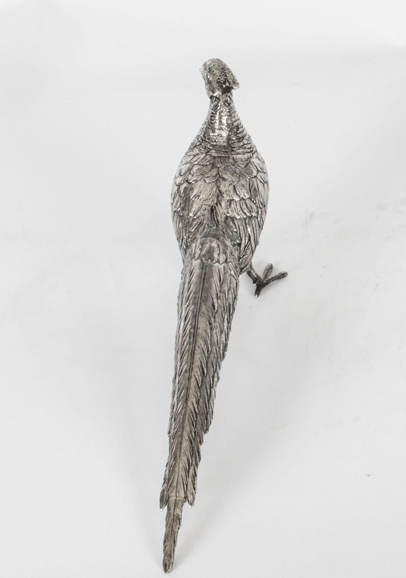 Antique Pair of German 800 Silver Pheasants, 19th Century 7
