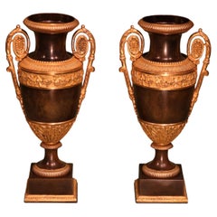 Antique pair of 19th century bronze and ormolu vases