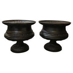 Antique Pair of 19th Century Iron Urns