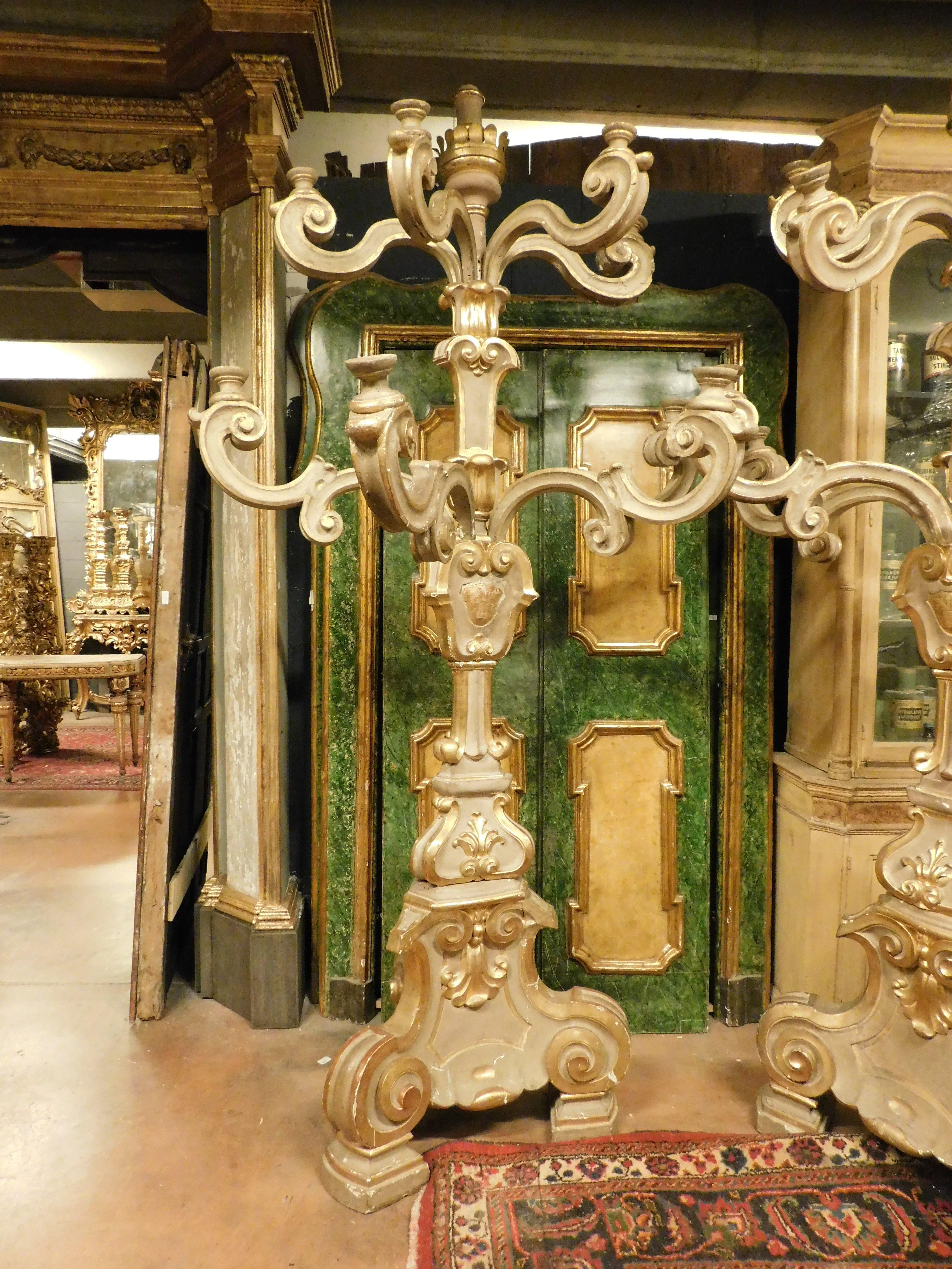 Antikes Paar sehr großer und bedeutender Kerzenständer, hohe Lampenhalter aus vergoldetem und reich geschnitztem Holz, insgesamt 8 Arme, bewegt und mit einem Kerzenhalter am Ende, aus einer Kirche des 18. Jahrhunderts in Florenz (Italien).
Nicht