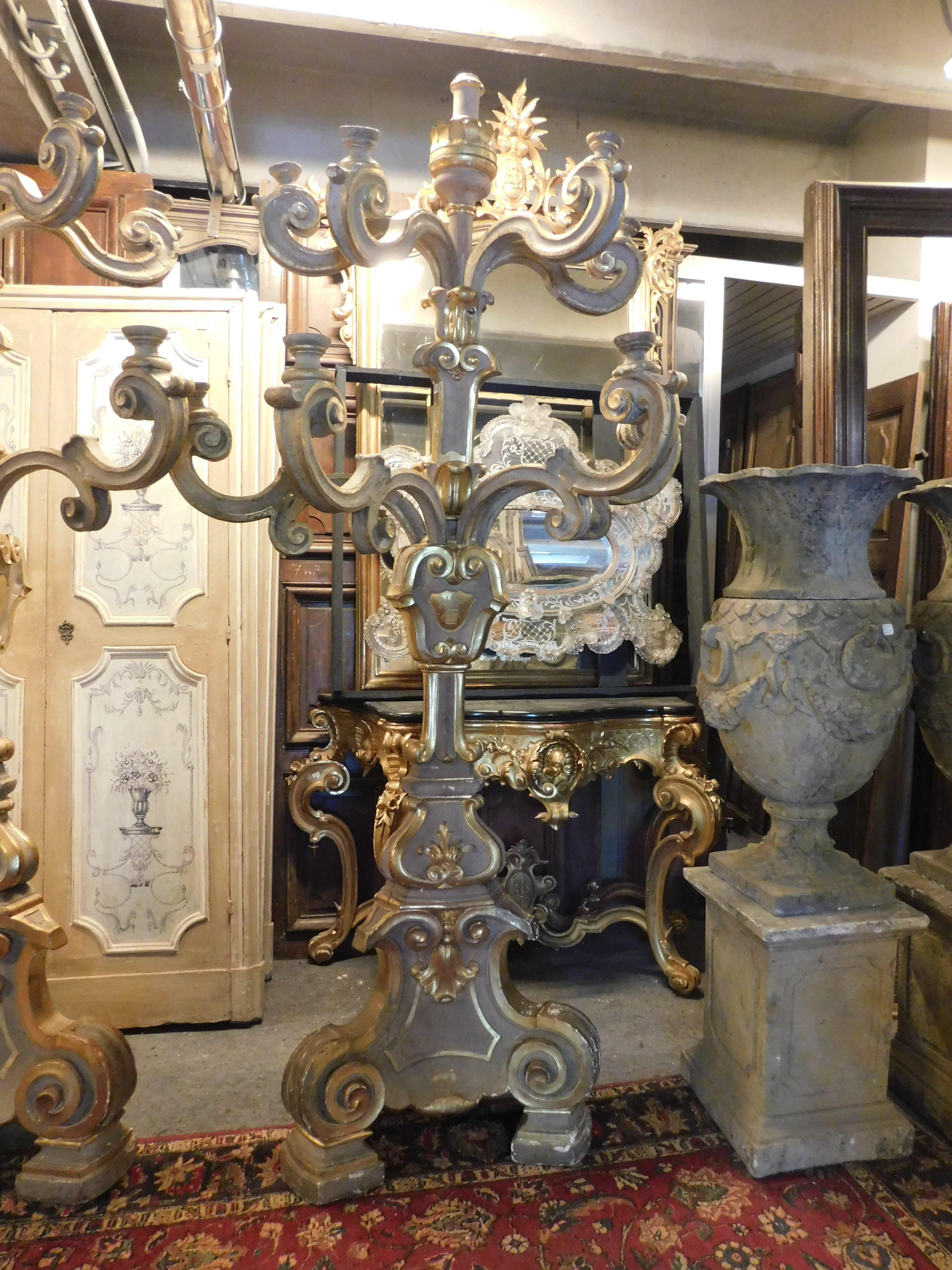 Poplar Antique pair of big gilded and carved wooden candlesticks, Florence (Italy) For Sale