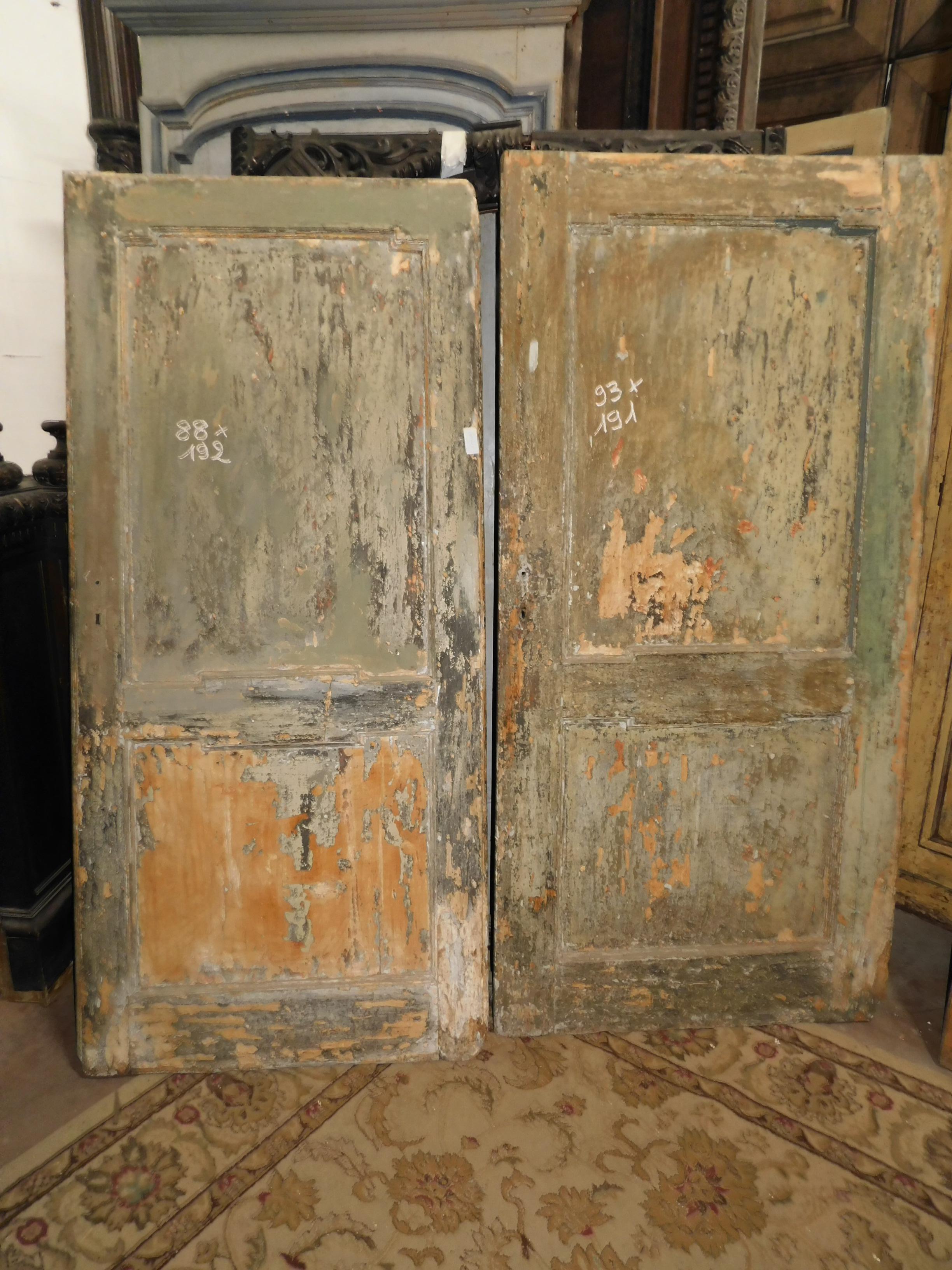 Hand-Painted Antique Pair of Blonde Wood Doors, Lacquered Patina, 18th Century Italy