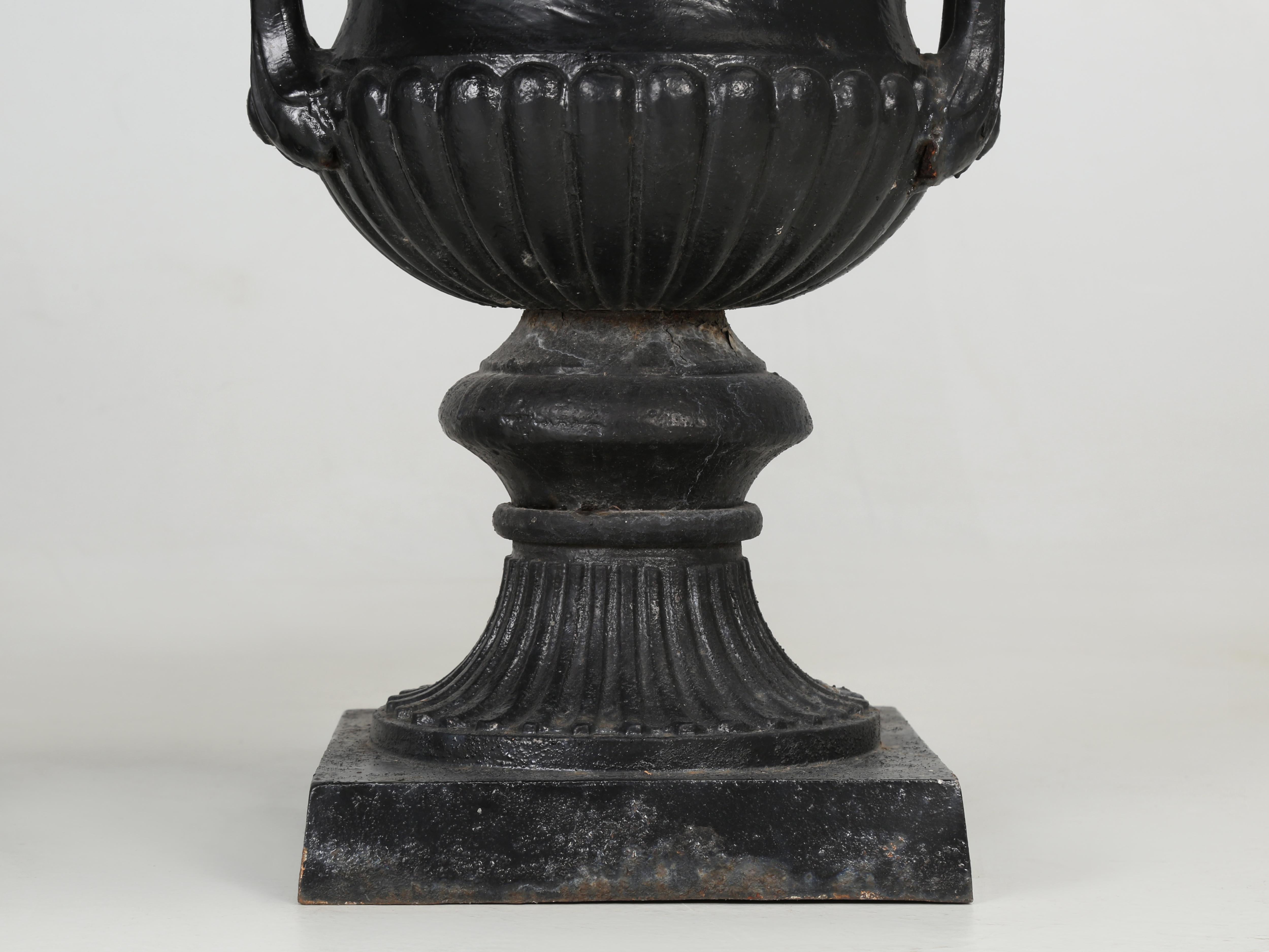 Antique Pair of Cast Iron French Garden Urns in Original Condition 8