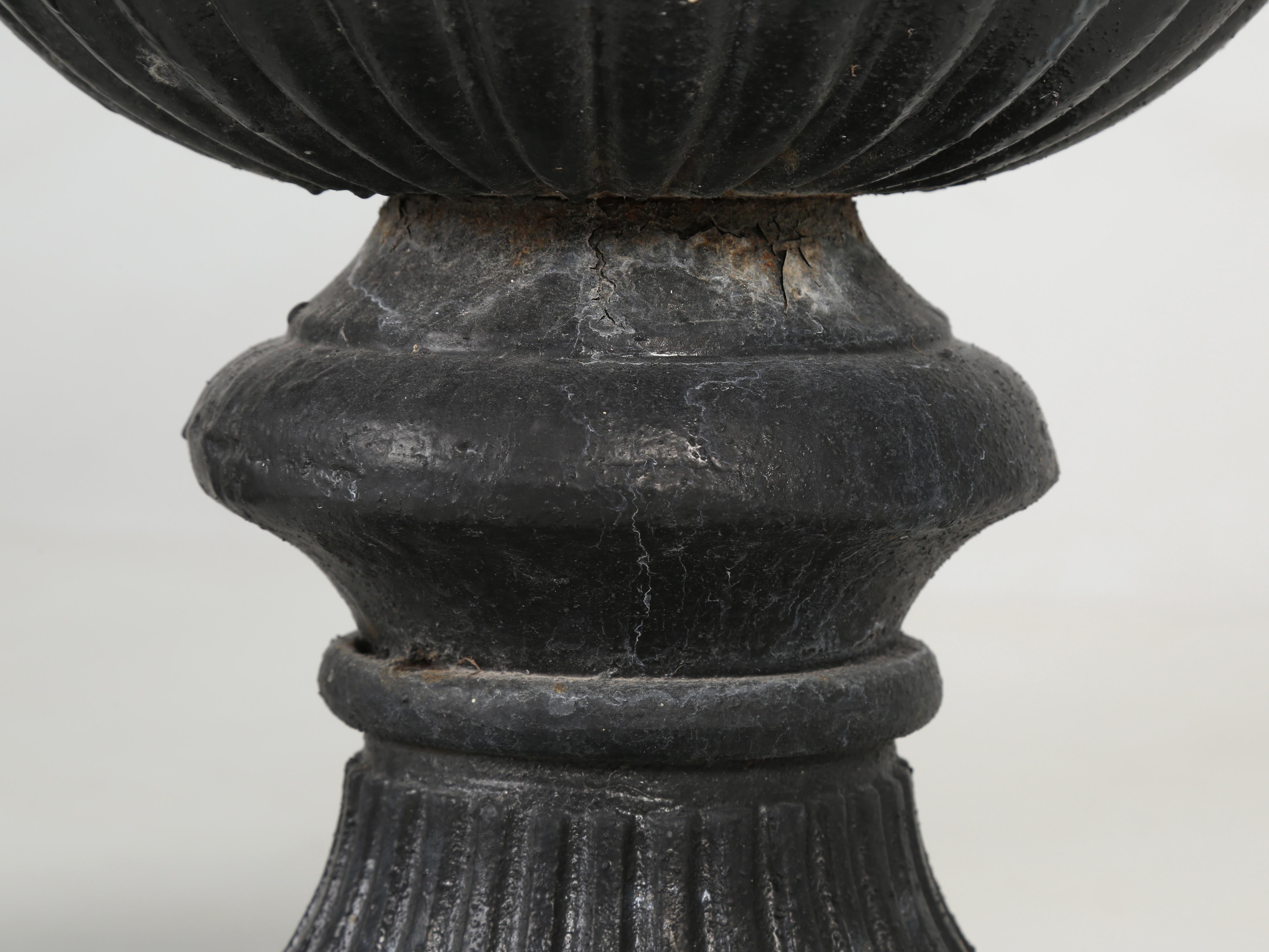 Antique Pair of Cast Iron French Garden Urns in Original Condition 9
