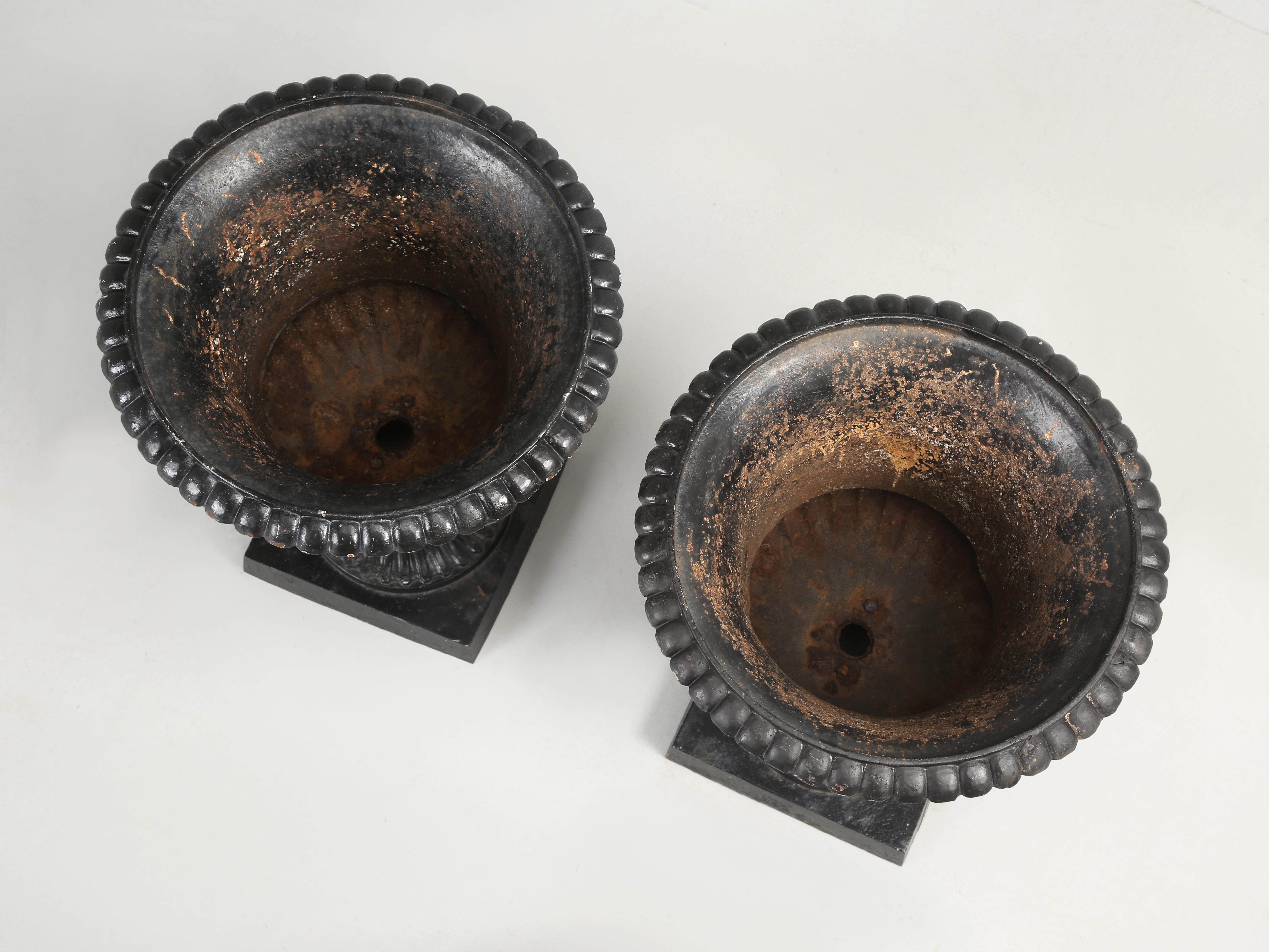 Antique Pair of Cast Iron French Garden Urns in Original Condition In Good Condition In Chicago, IL