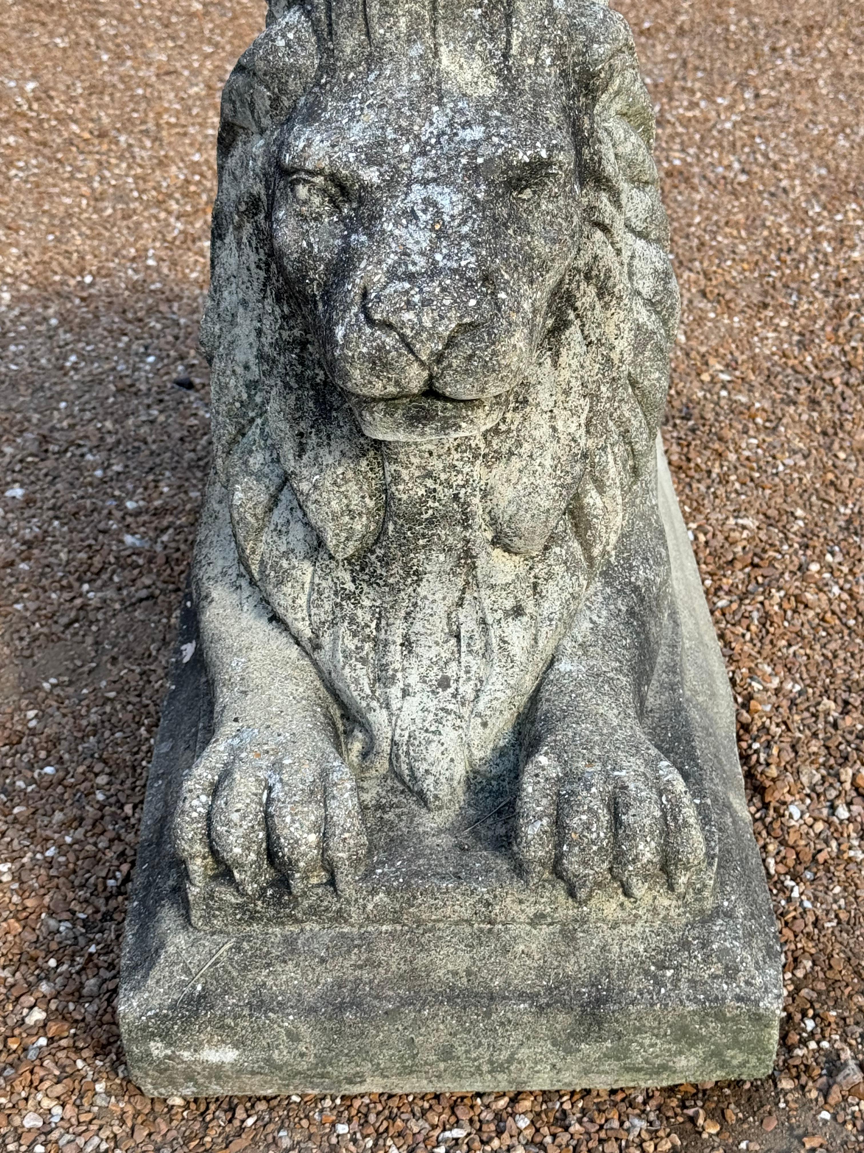 Antique Pair of Cast Stone Recumbent Entrance Way or Garden Regal Lion Statues For Sale 11