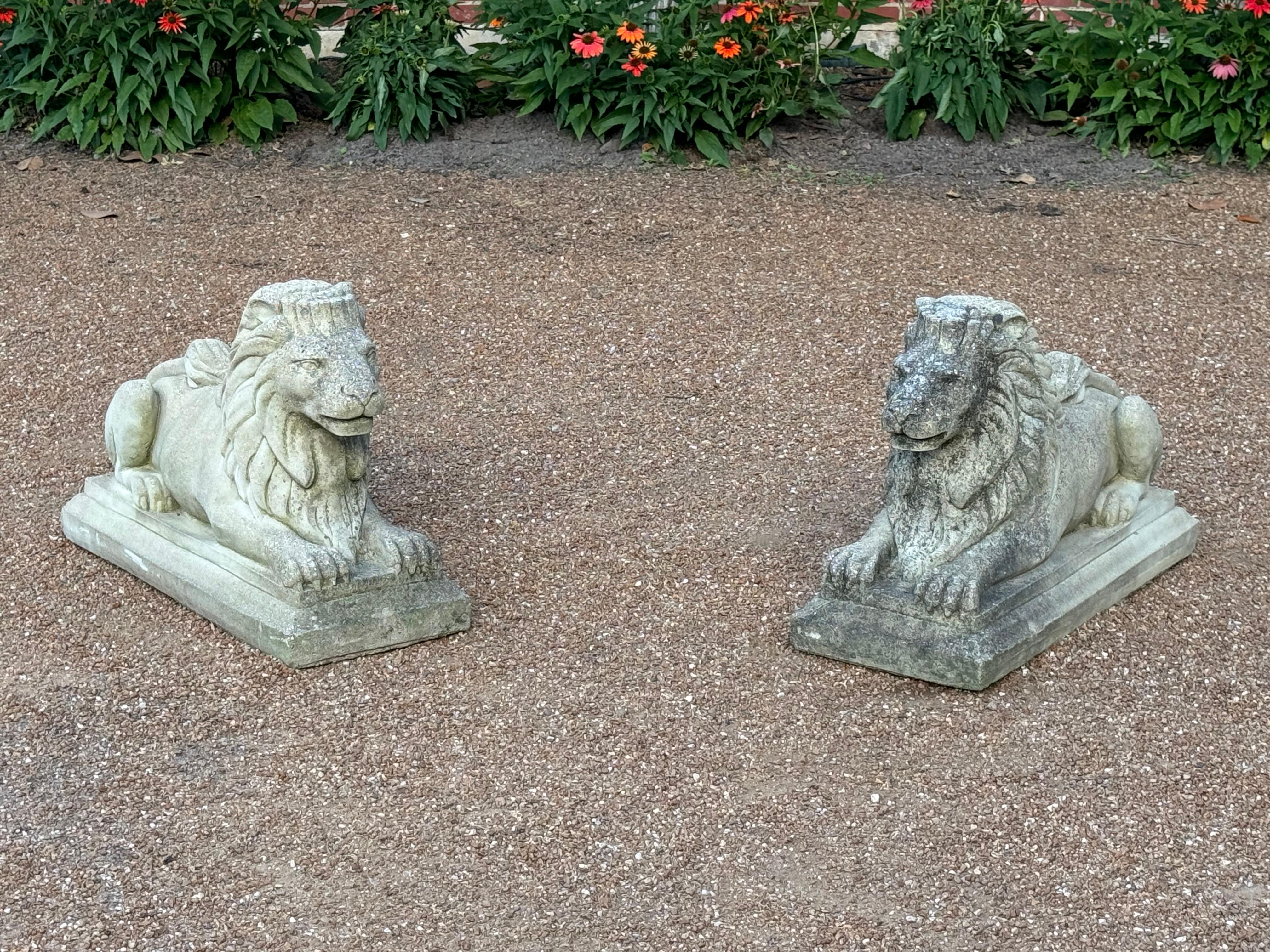 Nice pair of Antique cast stone recumbent regal lions statues - sculptures , perfect for the entrance way or garden.  Removed from a historic neighborhood in University City ( where the lion is their Logo) , called University Heights , one has more