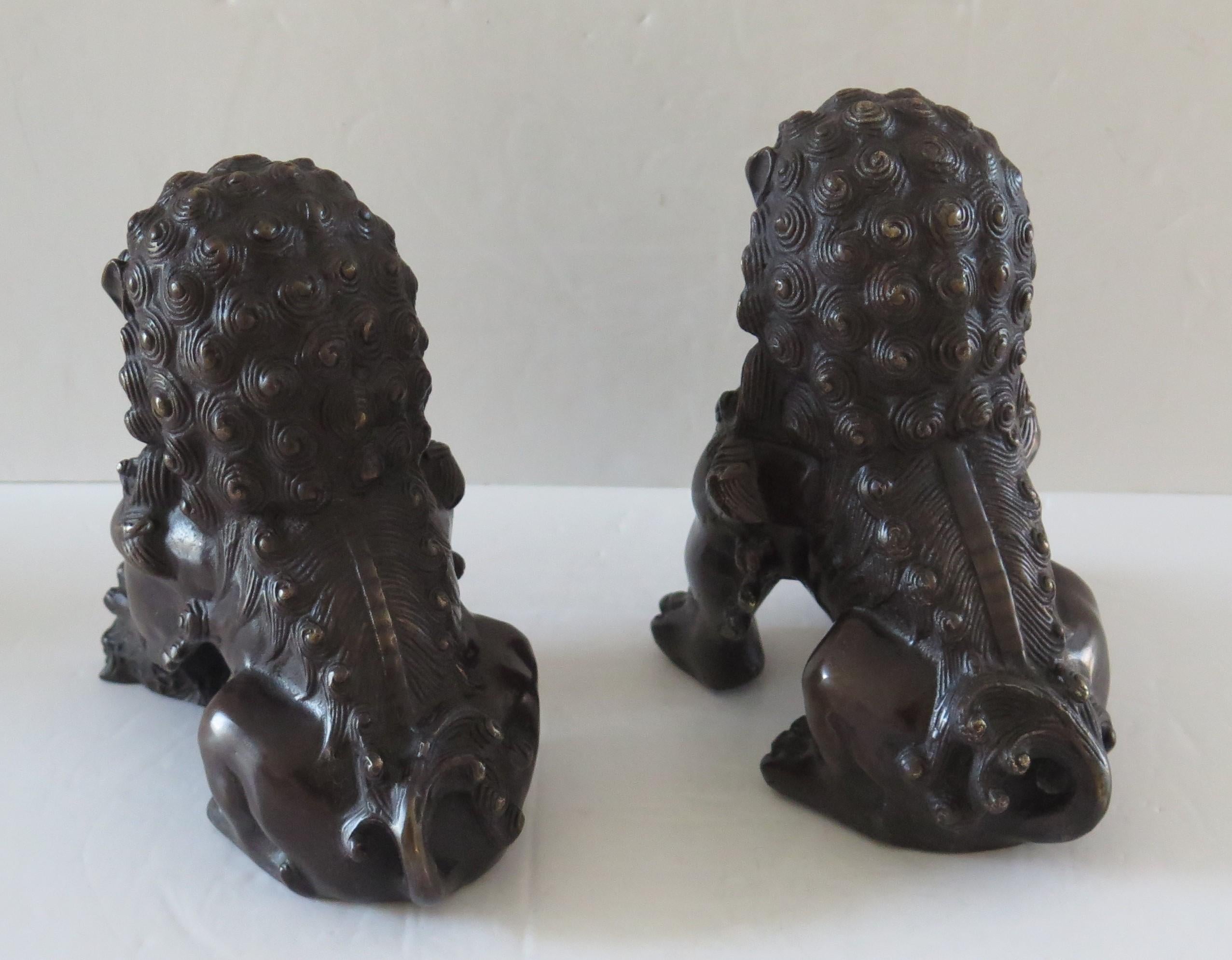 Pair of Chinese Bronze Foo or Lion Dogs Good Detail, Circa 1920s 9