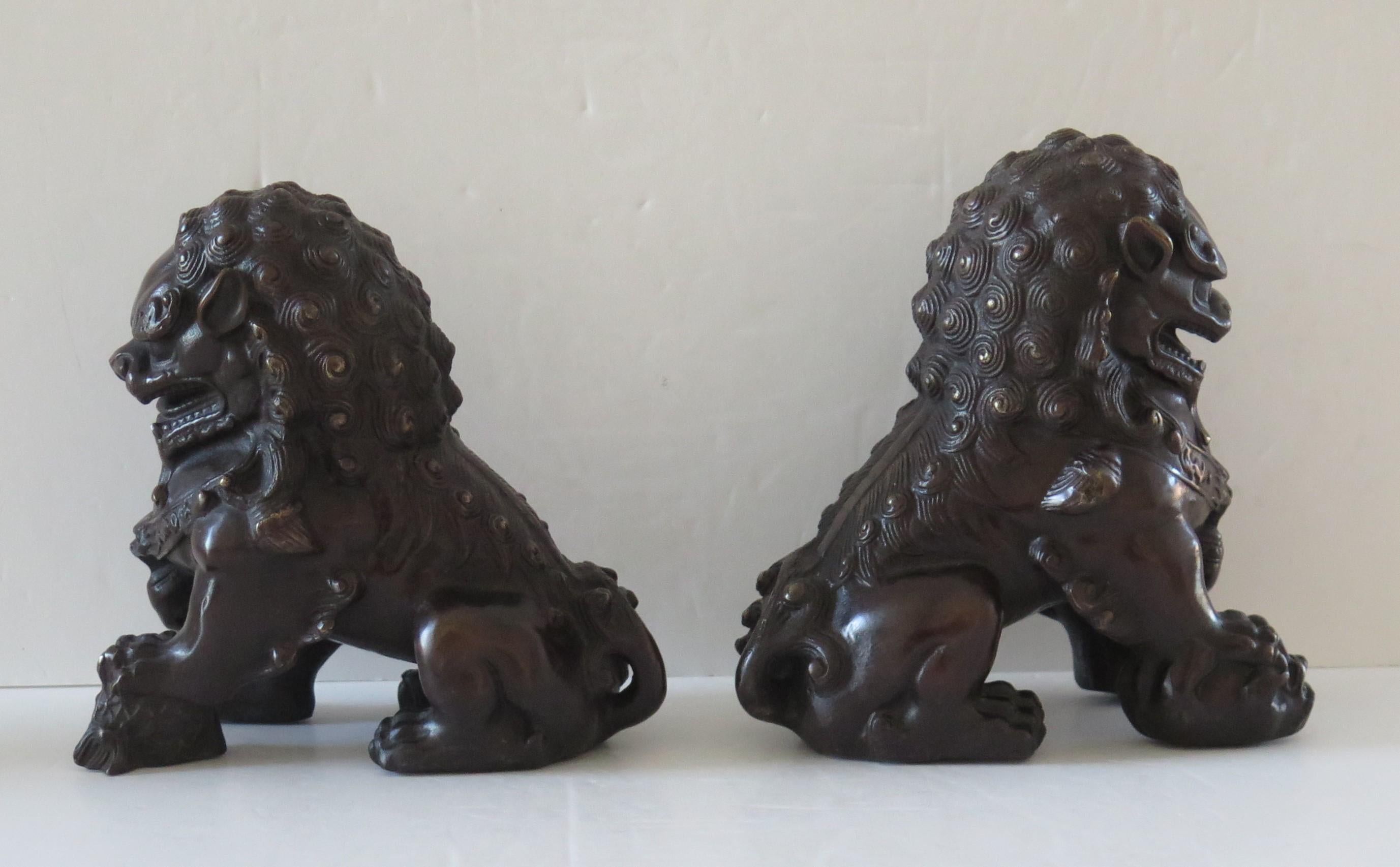 Pair of Chinese Bronze Foo or Lion Dogs Good Detail, Circa 1920s 1