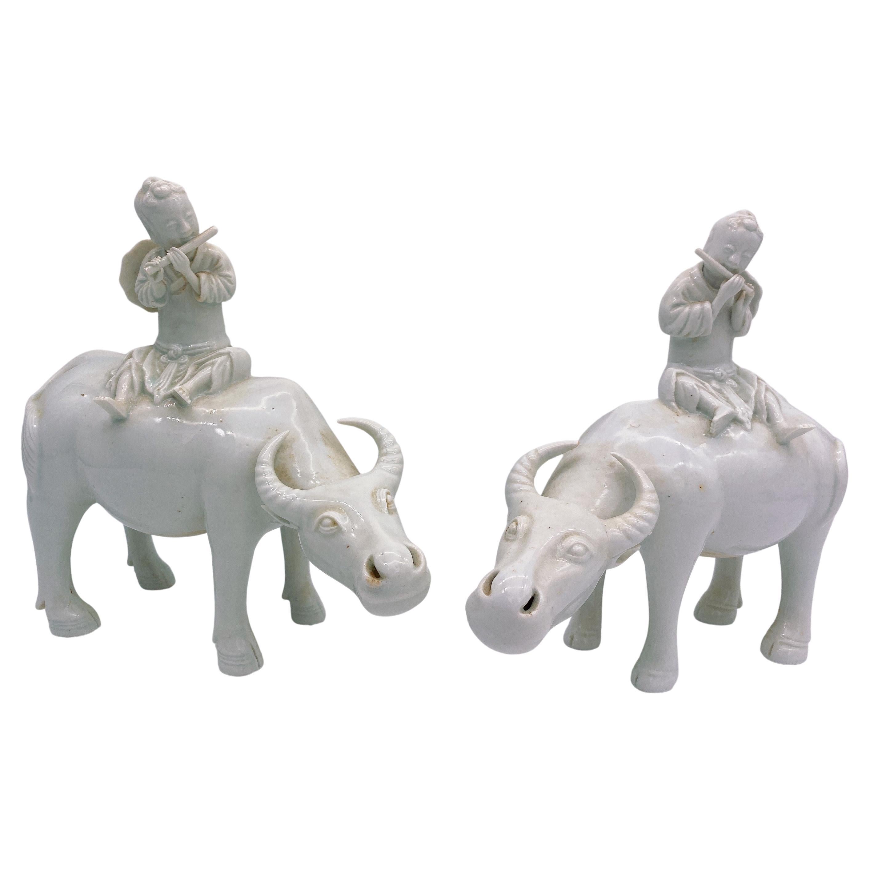 Antikes Paar chinesischer Dehua-Porzellanfiguren von Jungen auf Wasserbüffeln, antik