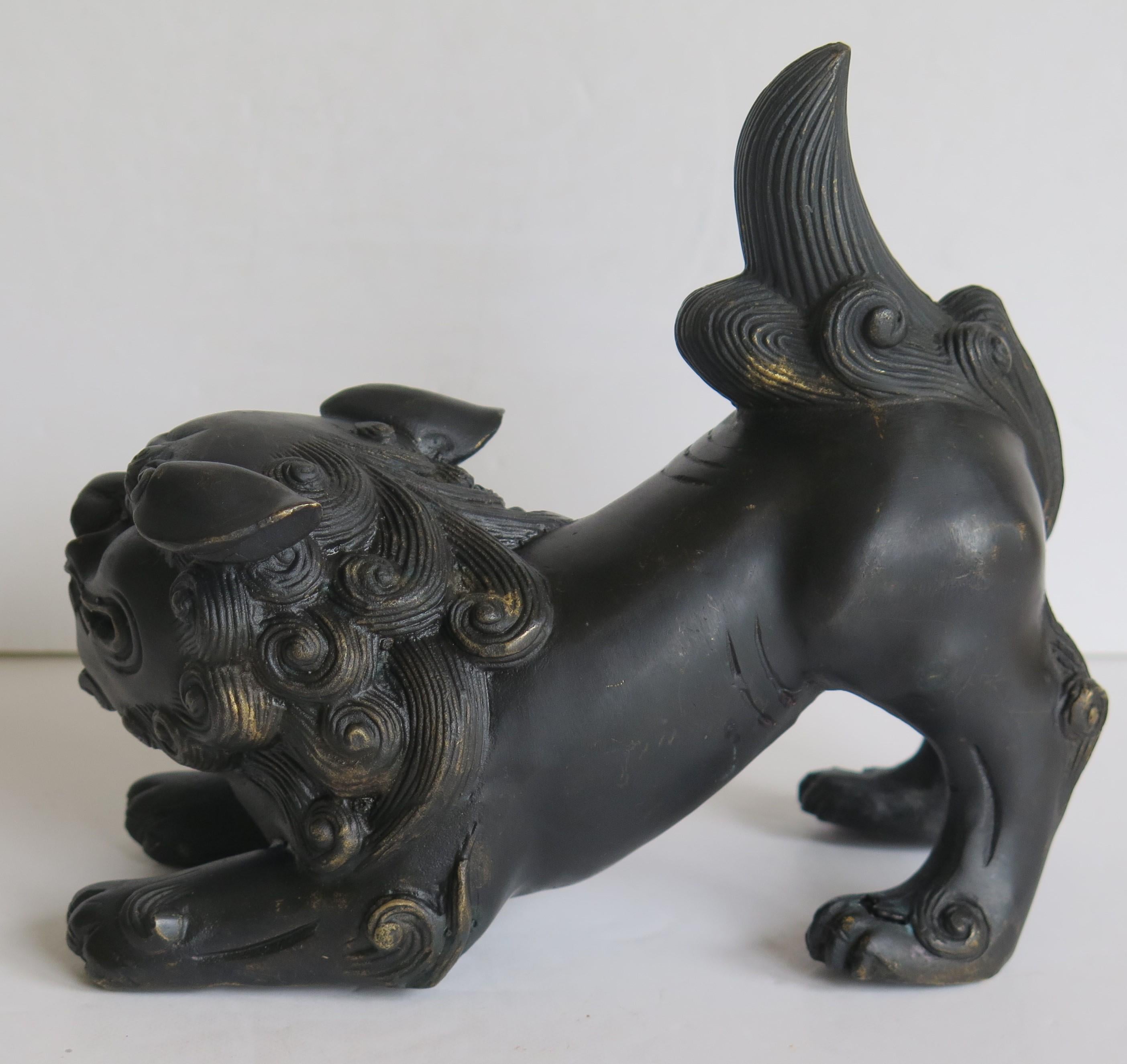 Antique Pair of Chinese Bronze Foo Dogs good detail, Qing 19th Century 8
