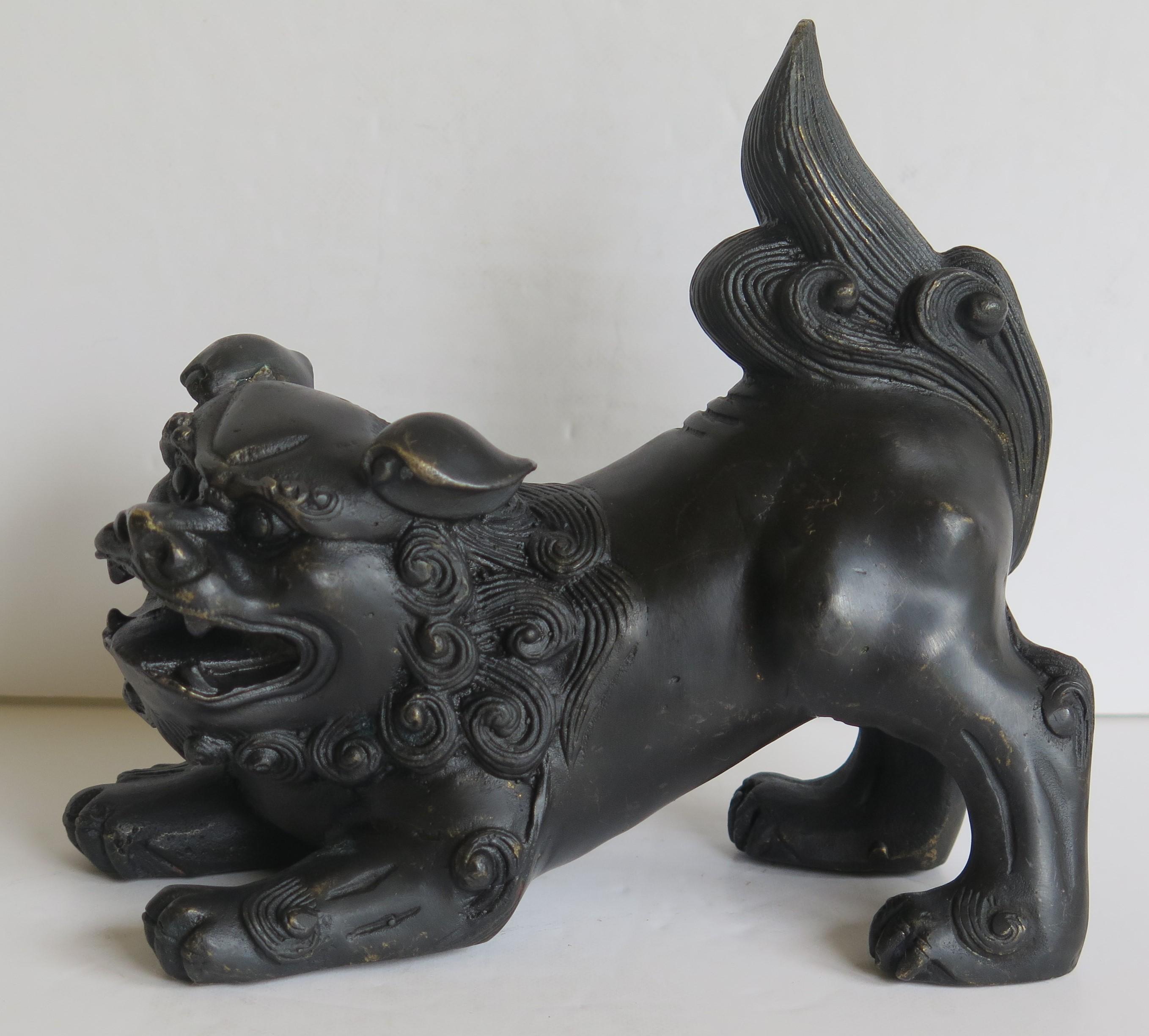 Antique Pair of Chinese Bronze Foo Dogs good detail, Qing 19th Century 9