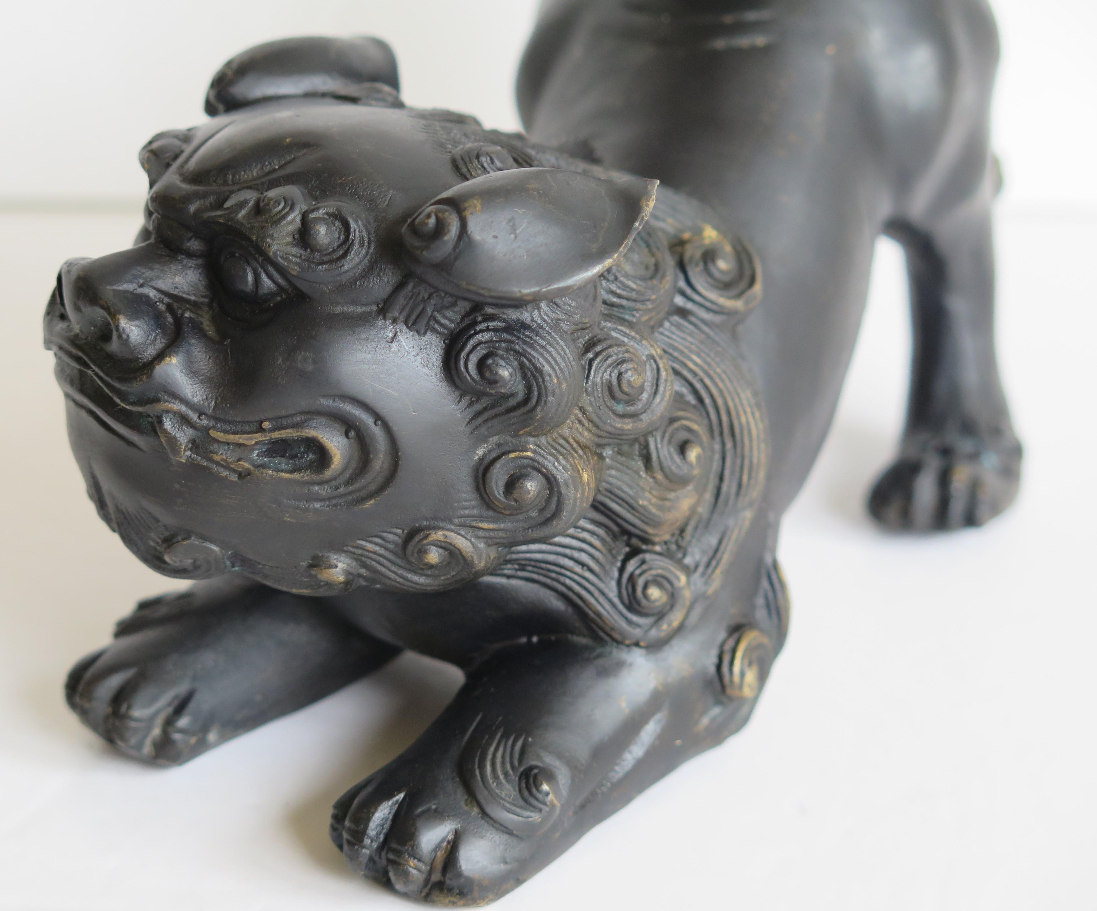 Antique Pair of Chinese Bronze Foo Dogs good detail, Qing 19th Century 13