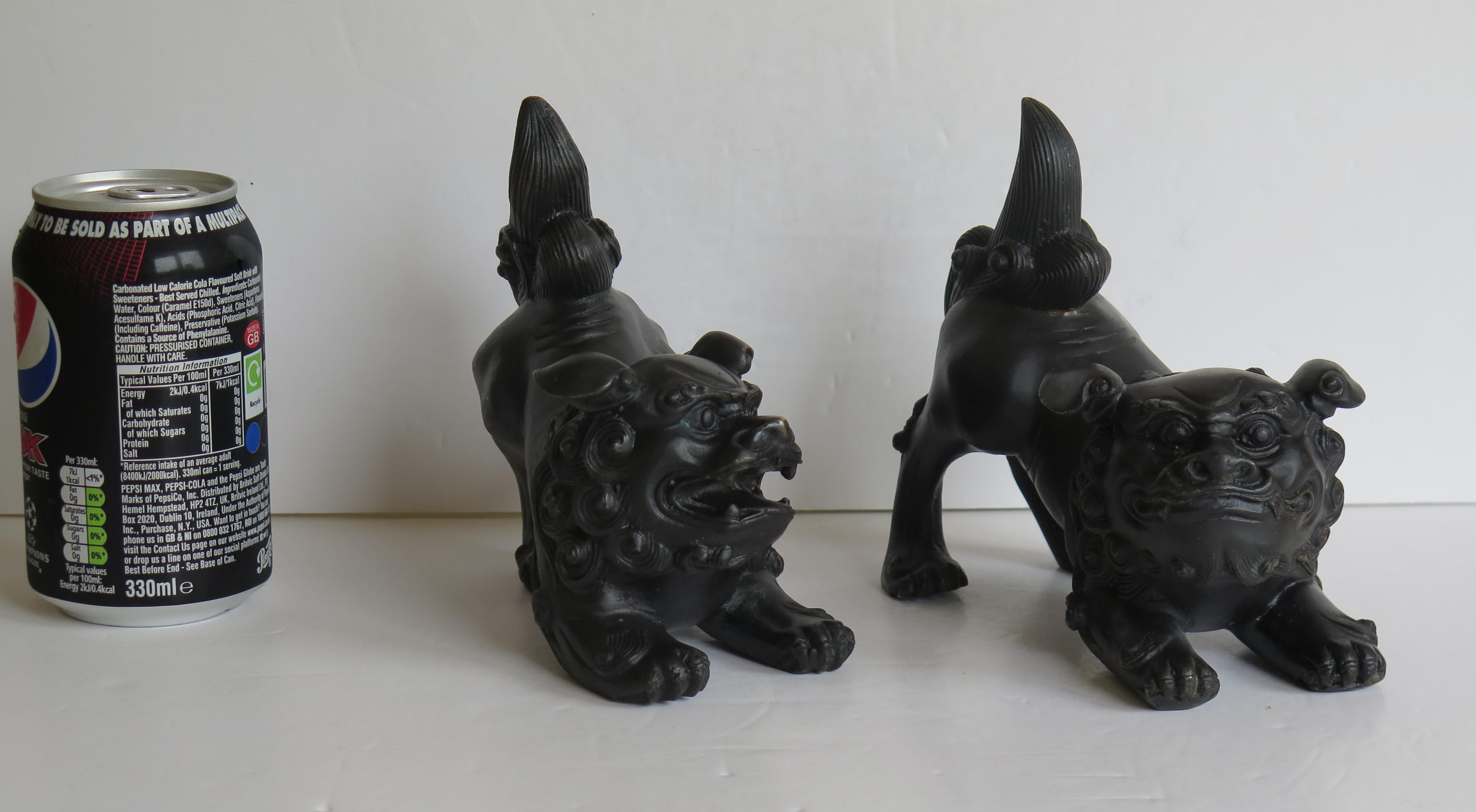 Antique Pair of Chinese Bronze Foo Dogs good detail, Qing 19th Century 16