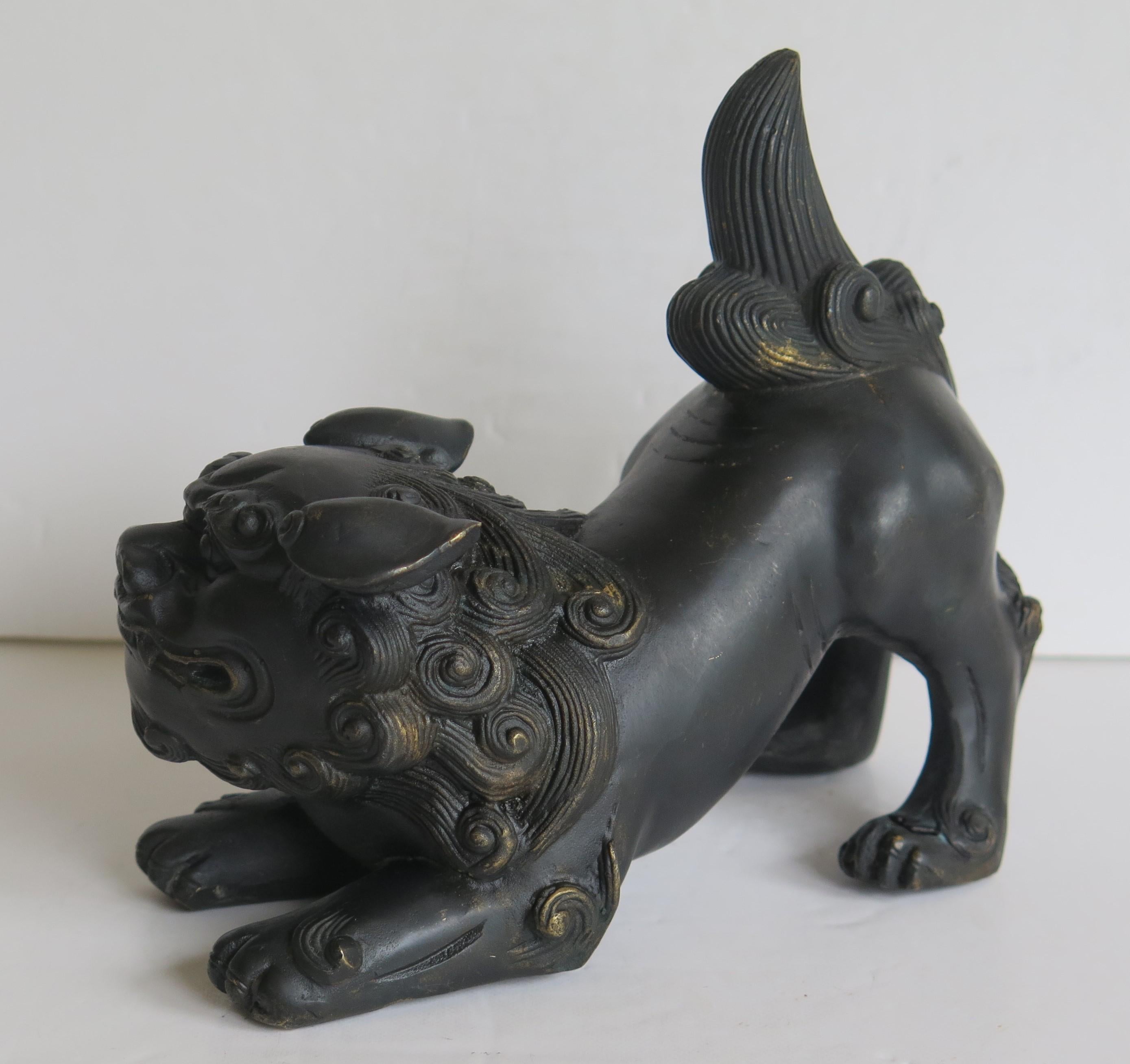 Antique Pair of Chinese Bronze Foo Dogs good detail, Qing 19th Century 3