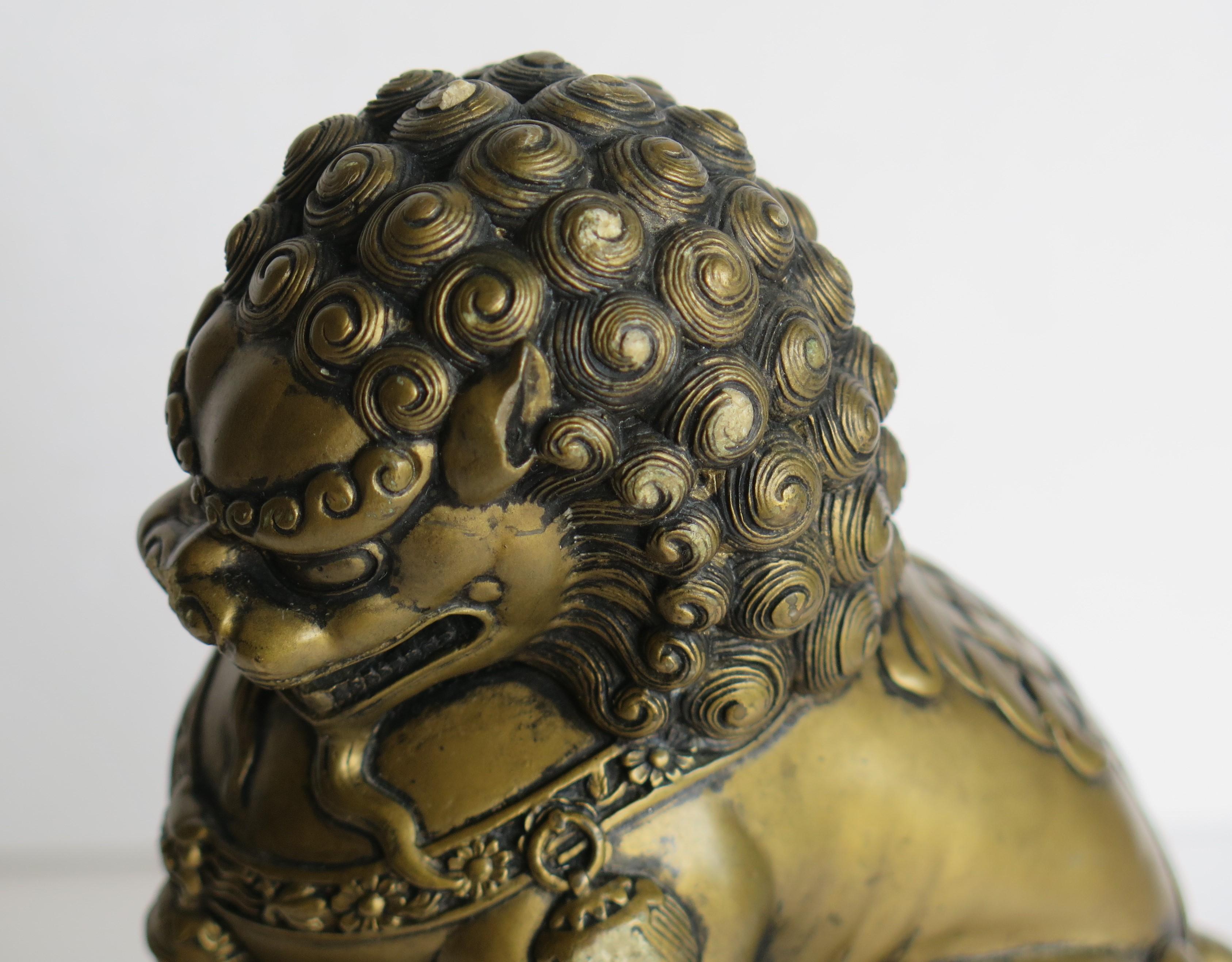 Antique Pair of Chinese Foo Dogs Gilded Stone with Fine Detail Qing 19th Century 9