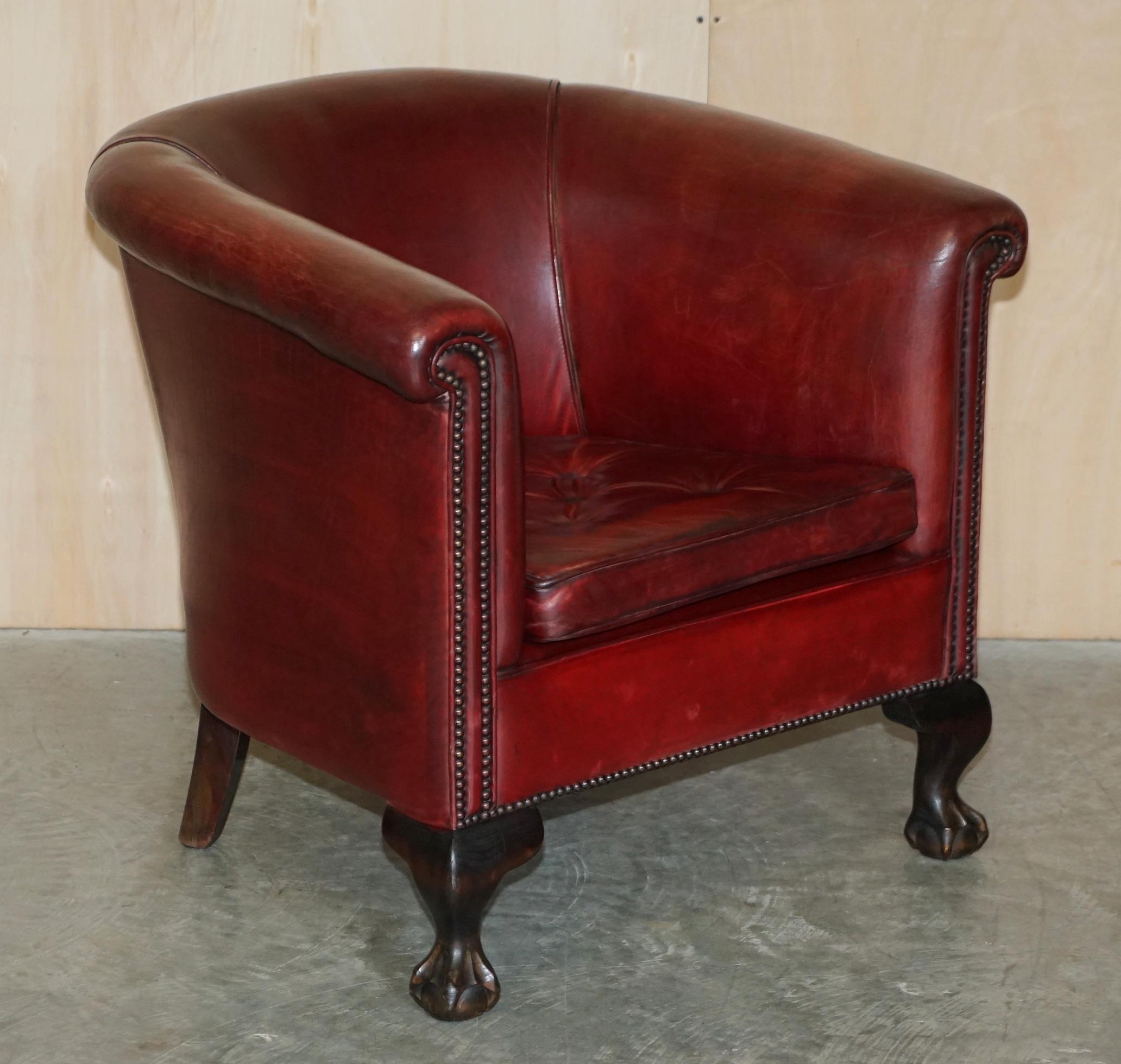 Antique Pair of Claw & Ball Feet Leather Club Tub Armchairs Chippendale Cushions 6