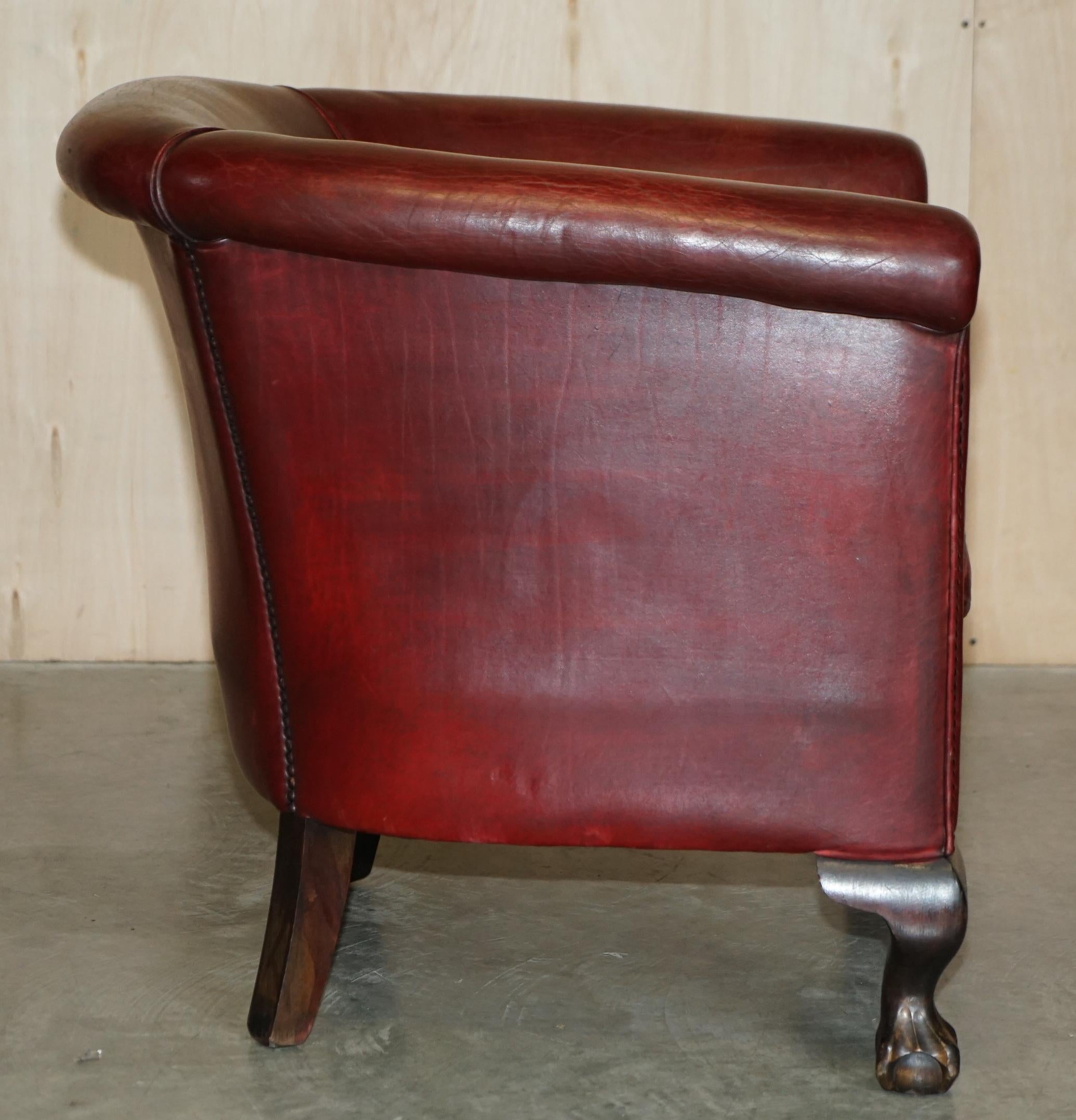 Antique Pair of Claw & Ball Feet Leather Club Tub Armchairs Chippendale Cushions For Sale 12