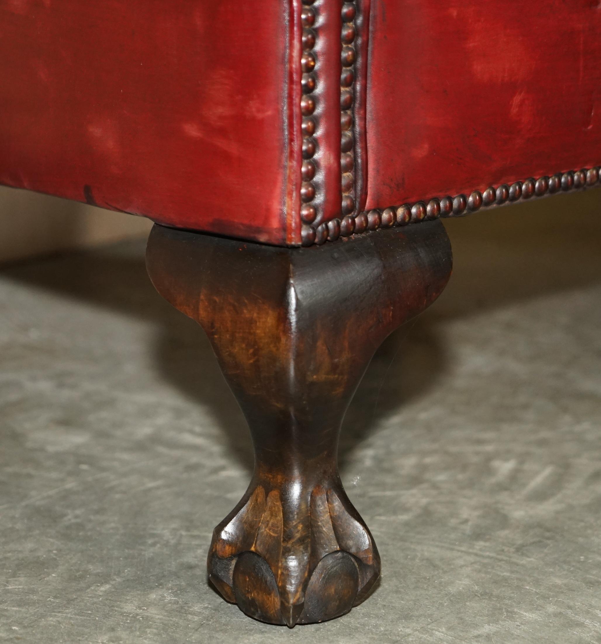 Early 20th Century Antique Pair of Claw & Ball Feet Leather Club Tub Armchairs Chippendale Cushions For Sale