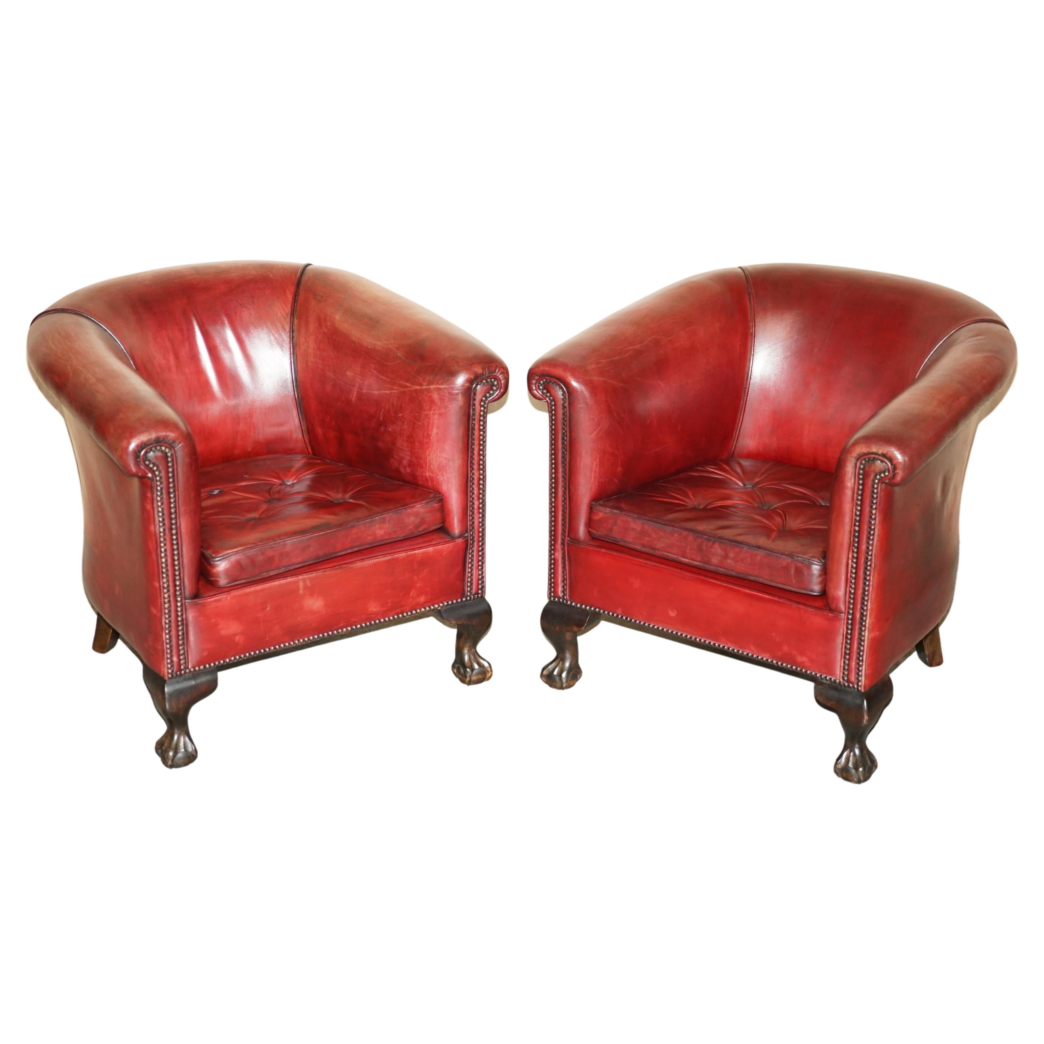 Paar antike Club Tub-Sessel aus Leder mit Klauen- und Kugelfüßen aus Leder, Chippendale-Kissen