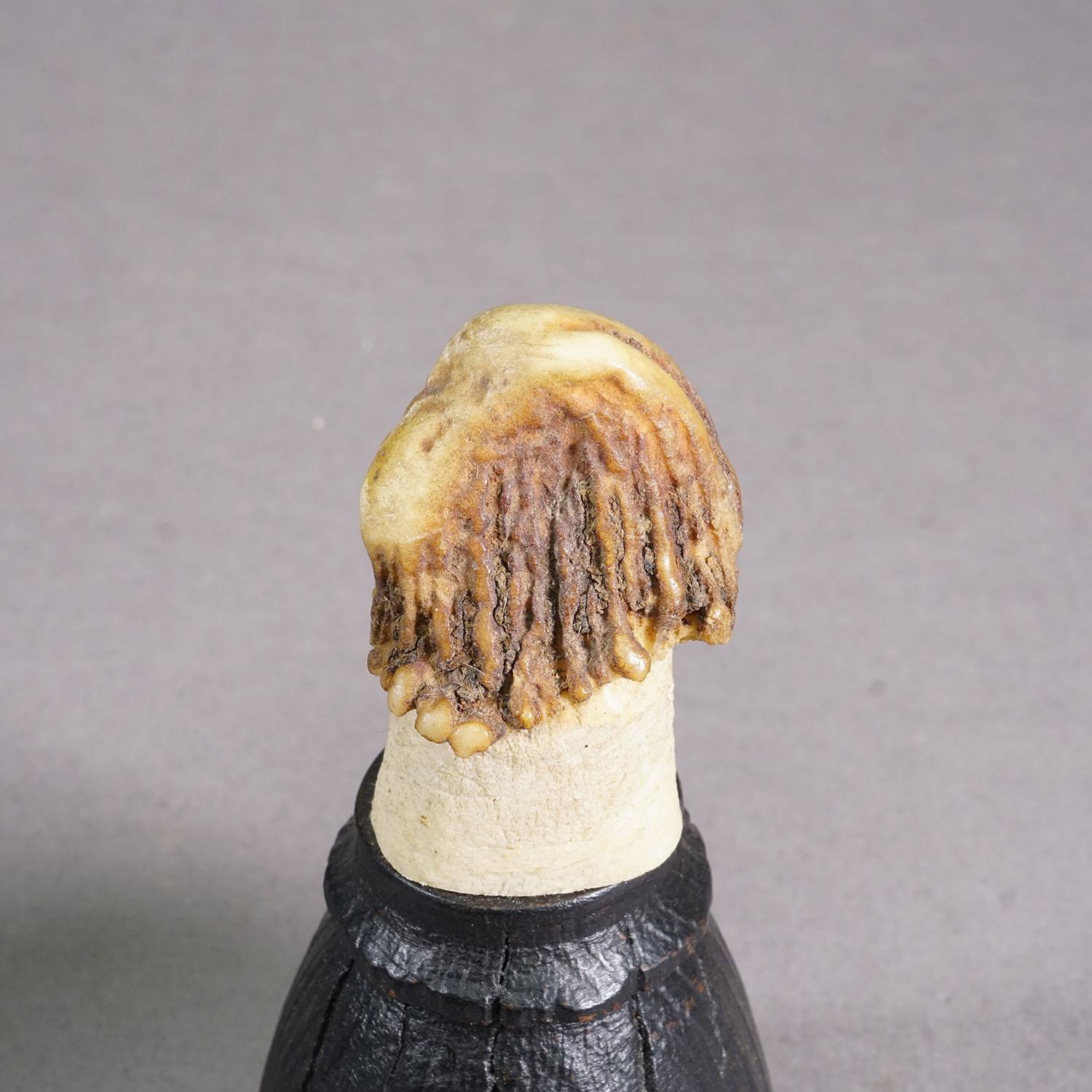 Ancienne paire de bois de cerf sur des supports en bois noir tourné, vers 1920 Bon état - En vente à Berghuelen, DE