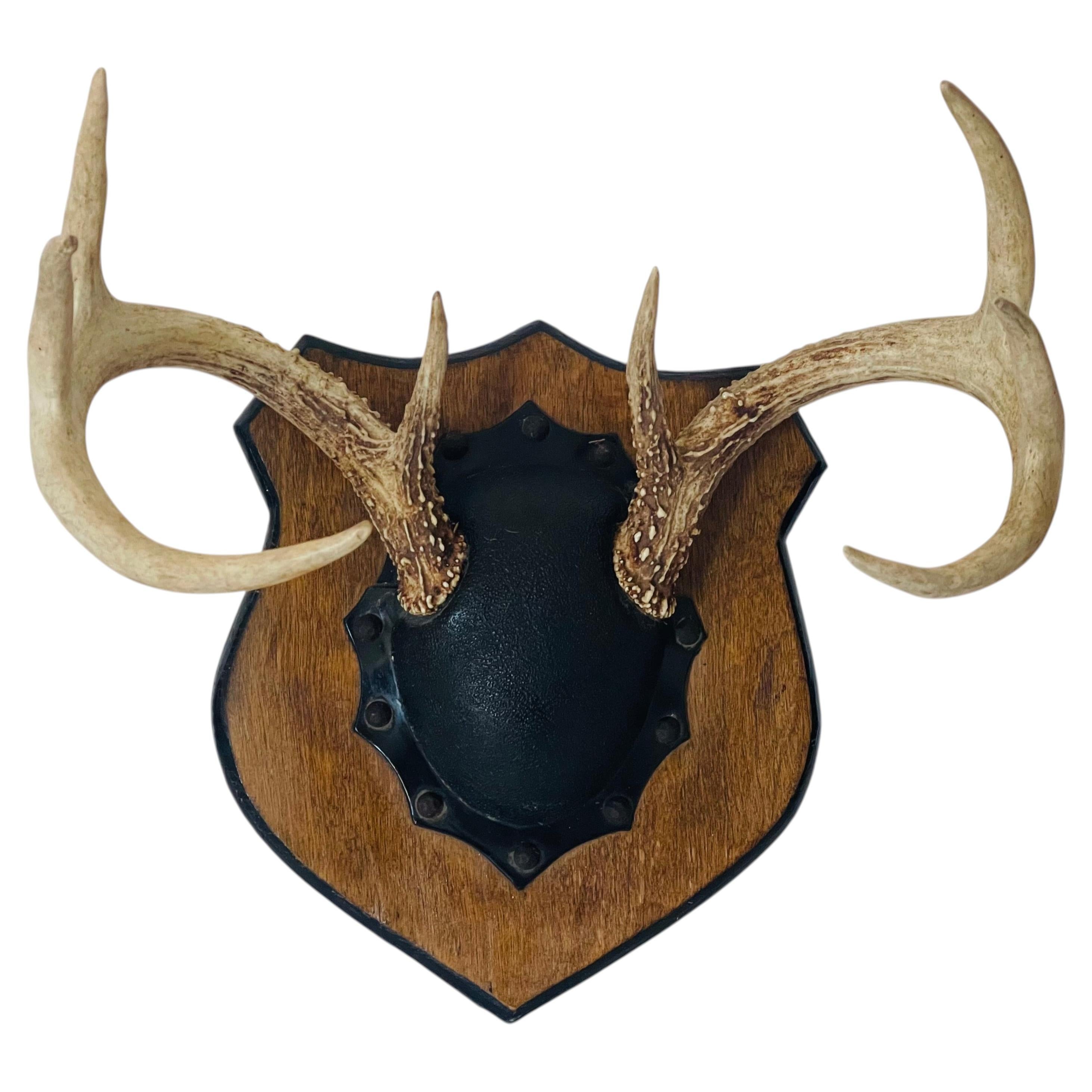 What is a deer mount called?