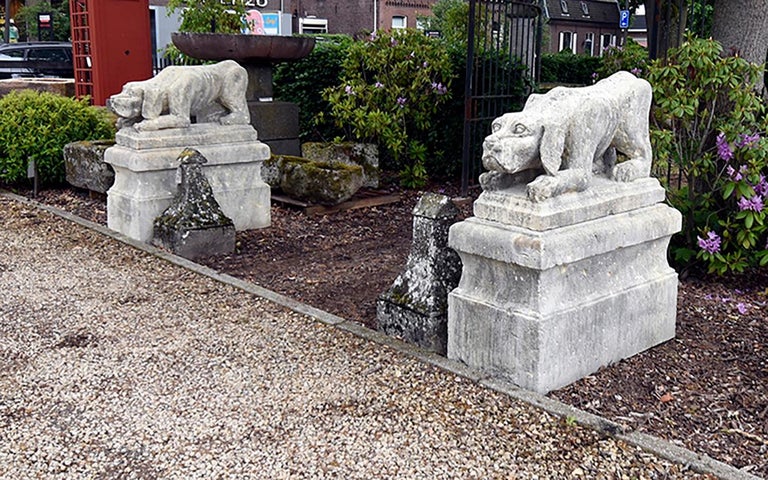 Antique Pair of Dog Statues from France 19th Century For Sale at 1stDibs