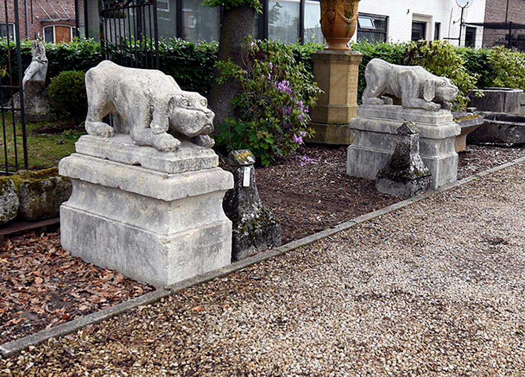 Français Paire de statues anciennes de chiens de France du 19ème siècle en vente