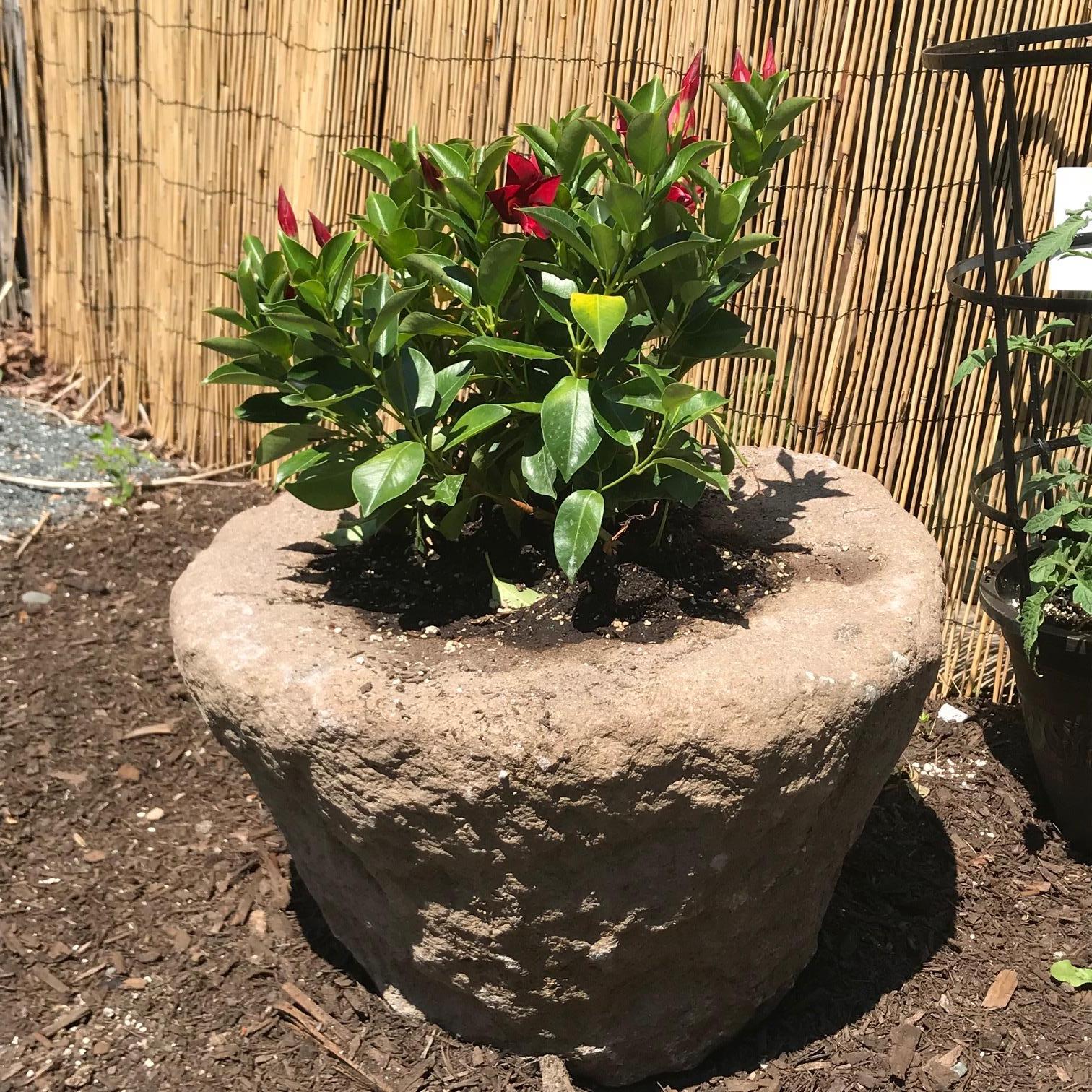 An attractive pair of sturdy hand-carved stone planters and basins in a pleasing elegant and slender cone shape.

These attractive heavy, thick, and well crafted stone planters make excellent accents indoors or outdoors in gardens, patios, or
